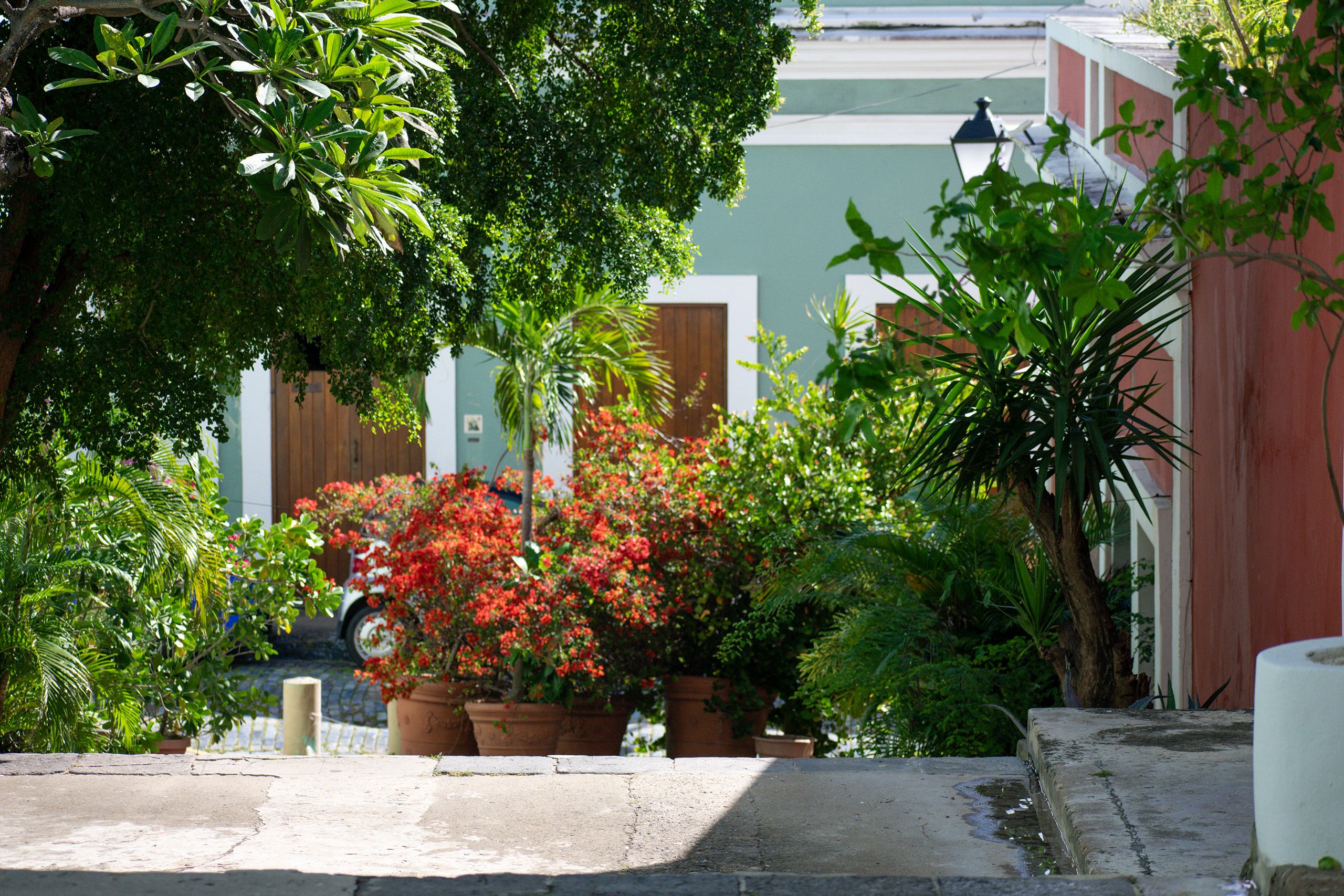 Viejo San Juan
