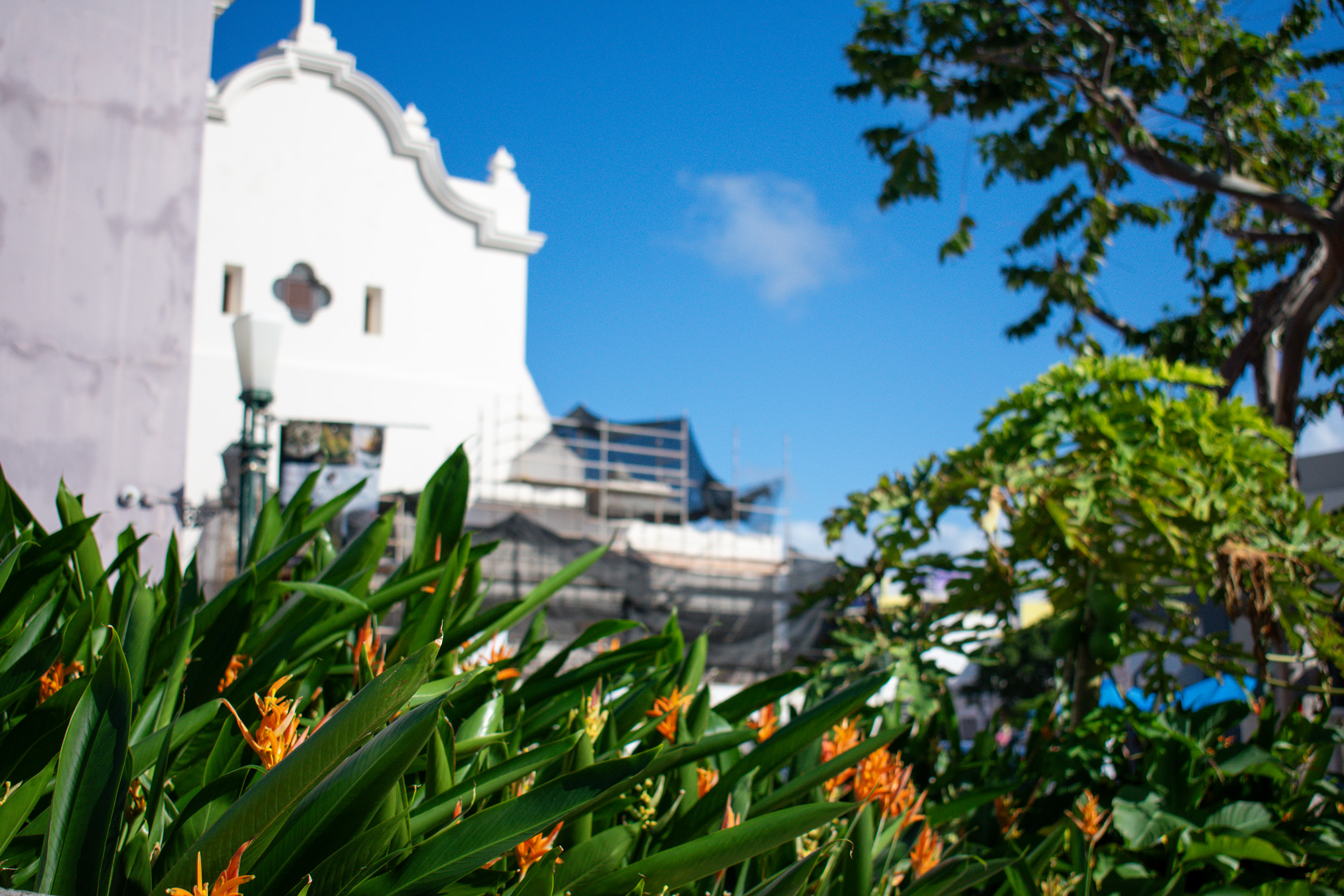 Viejo San Juan
