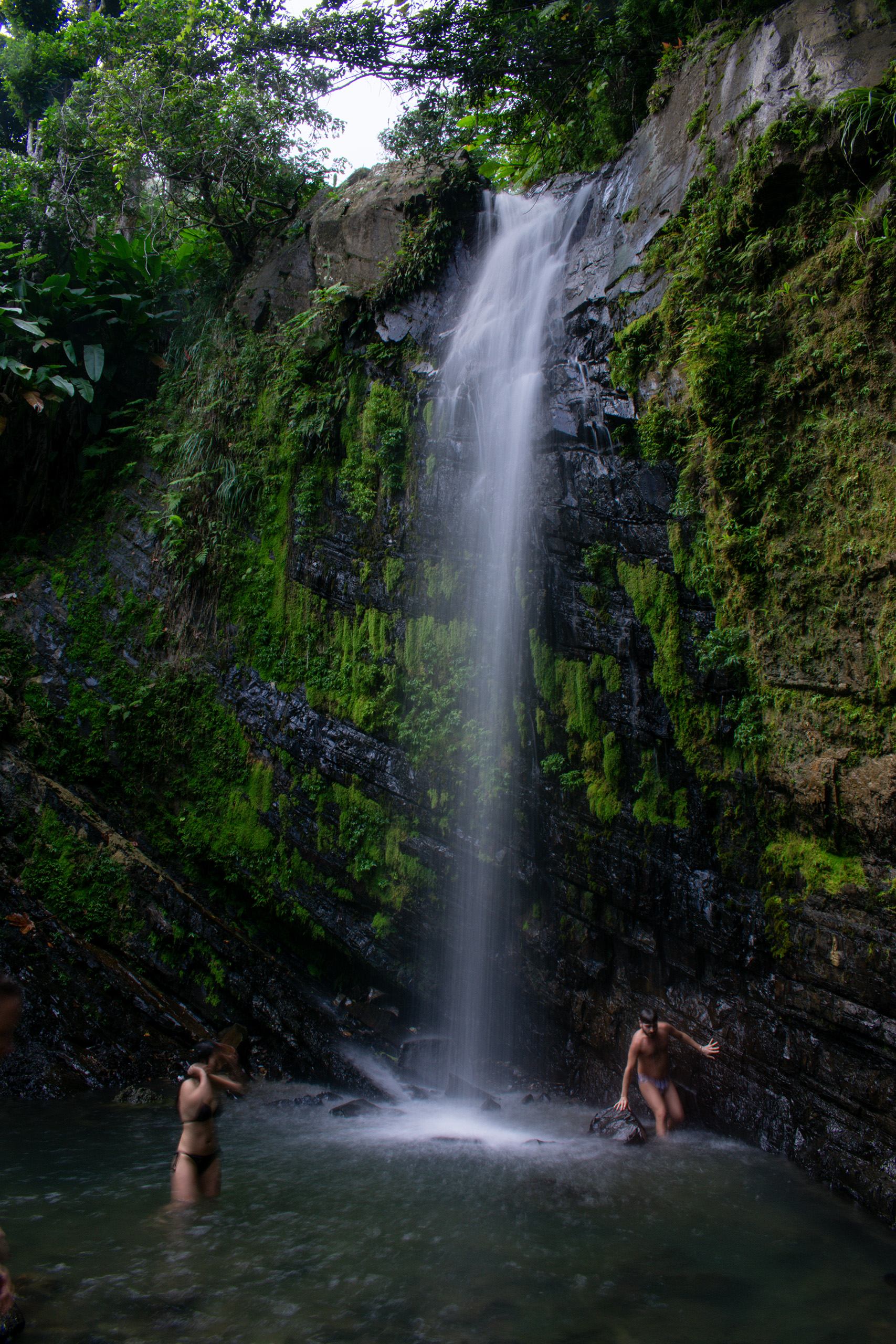 El Yunque