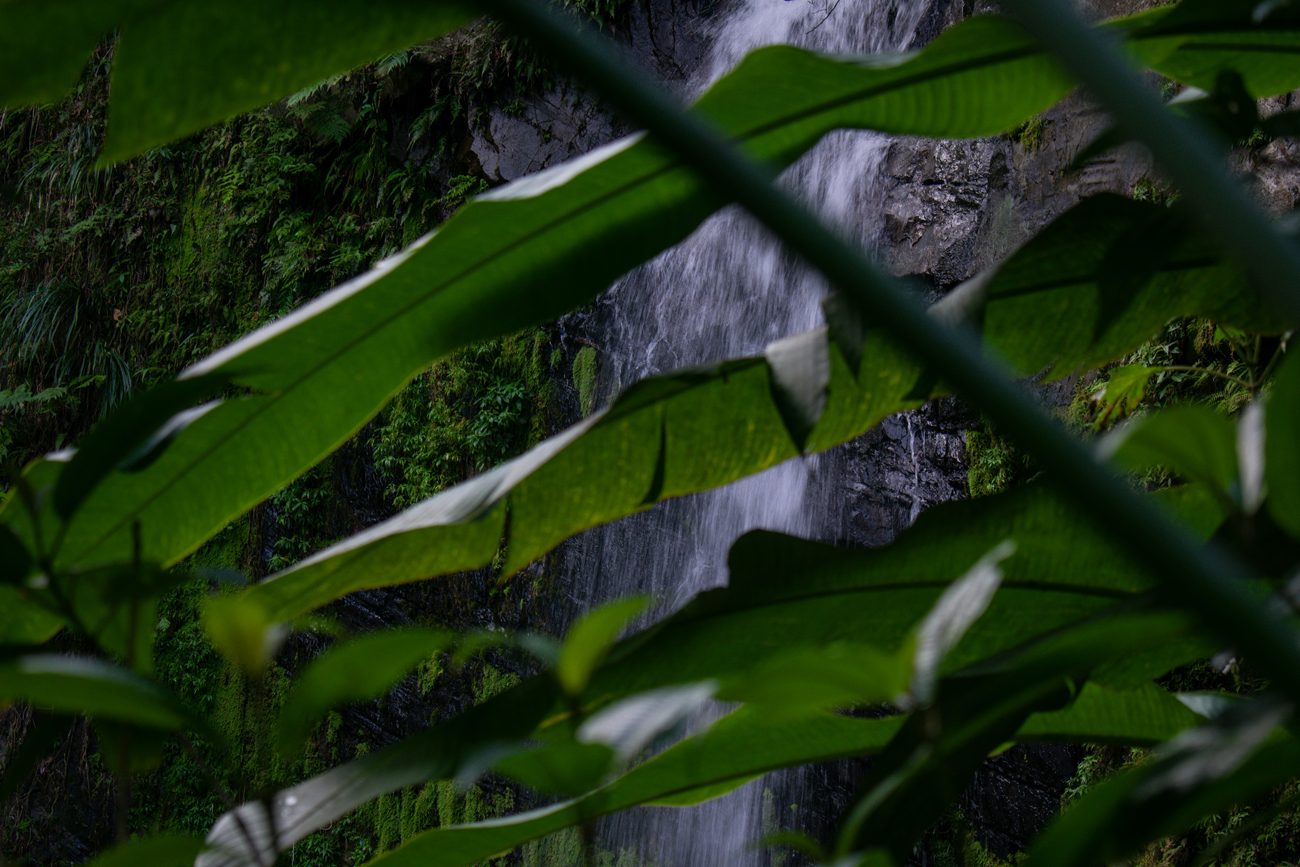 El Yunque