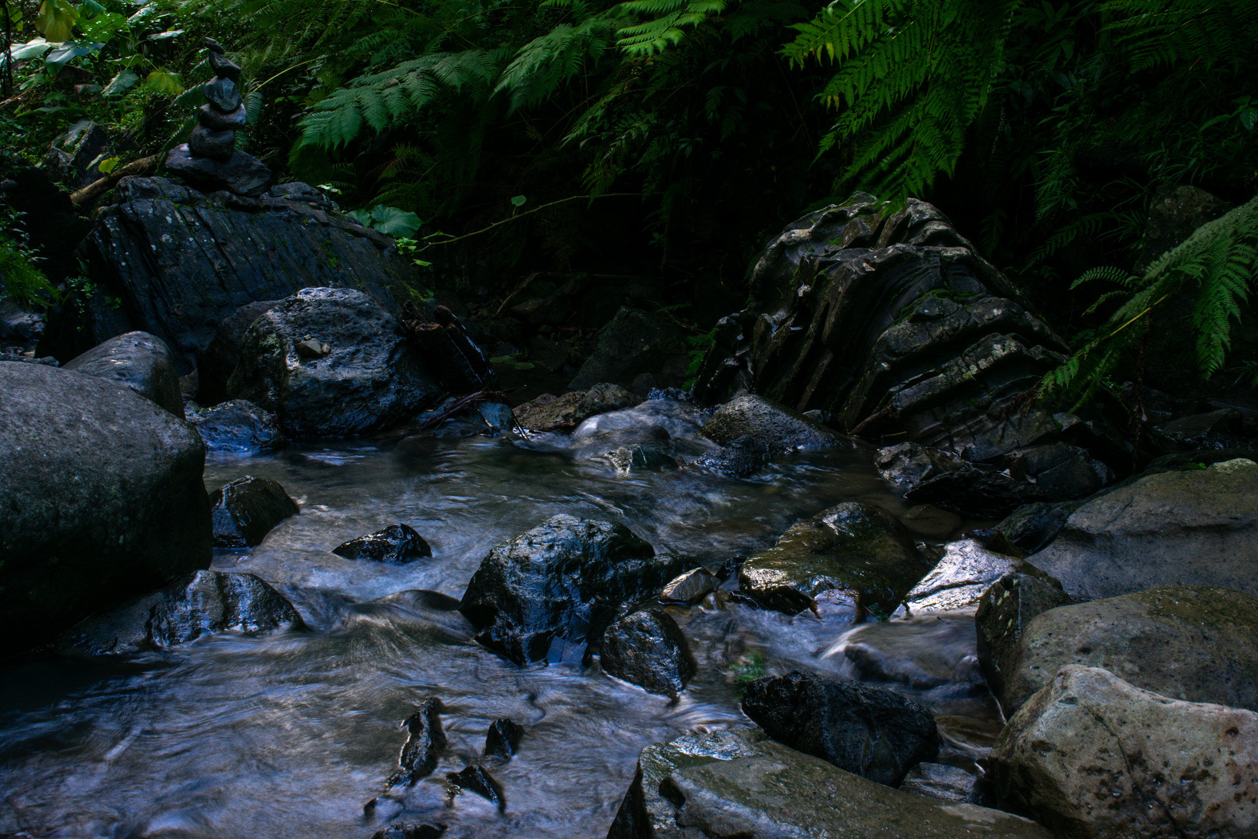 El Yunque