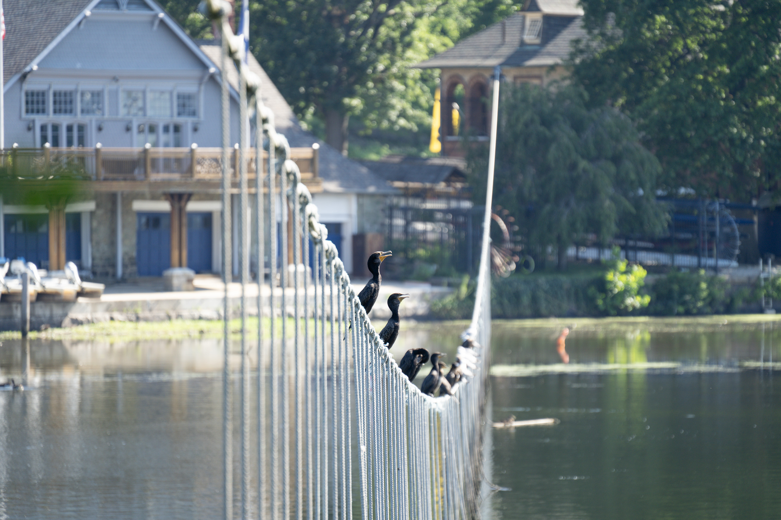 Fairmount · Agosto 2020