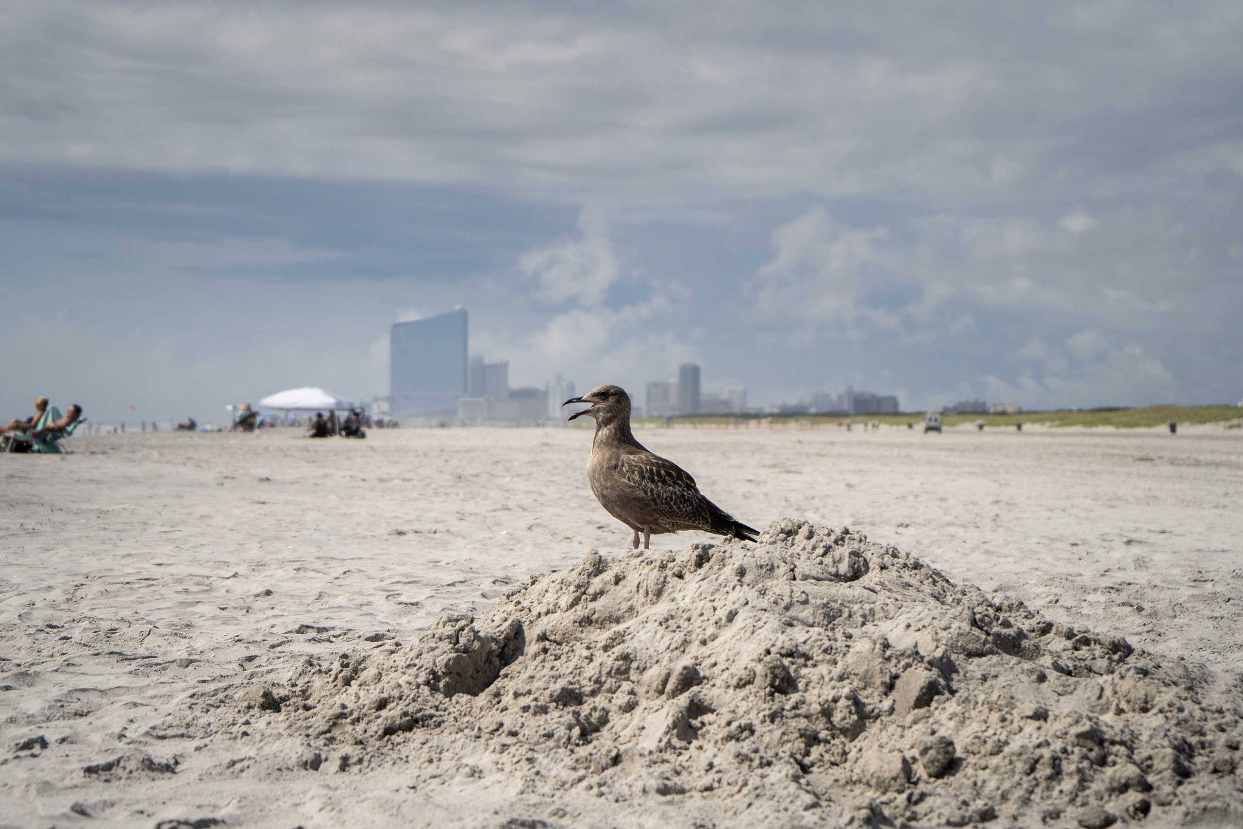 Brigantine Beach · Agosto 2020