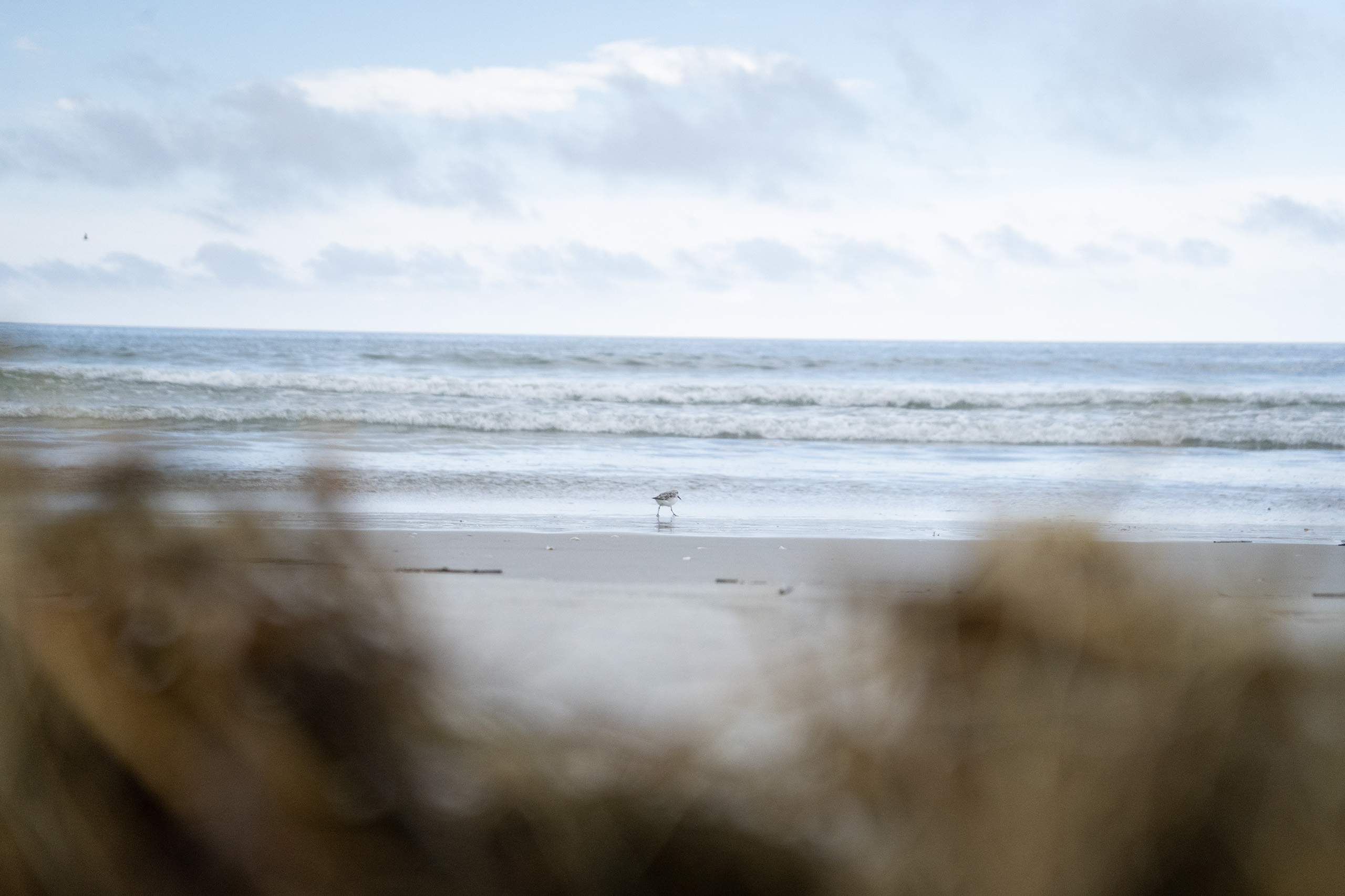 Brigantine Beach · Agosto 2020