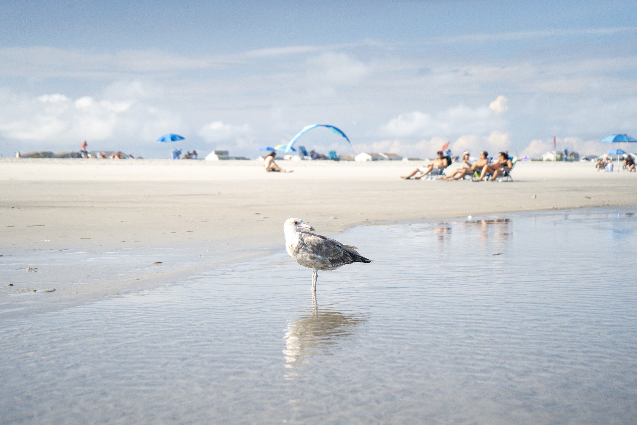 Brigantine Beach · Agosto 2020