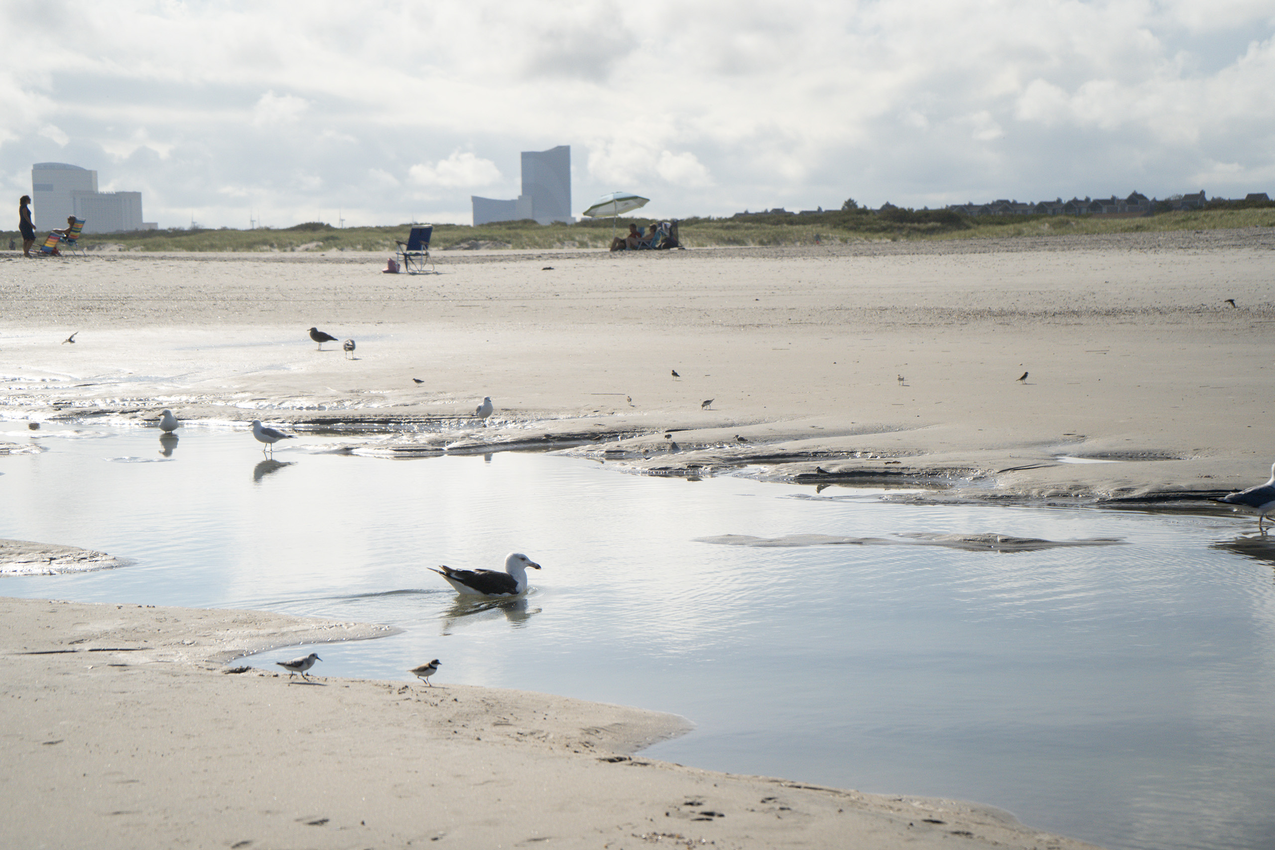 Brigantine Beach · Agosto 2020