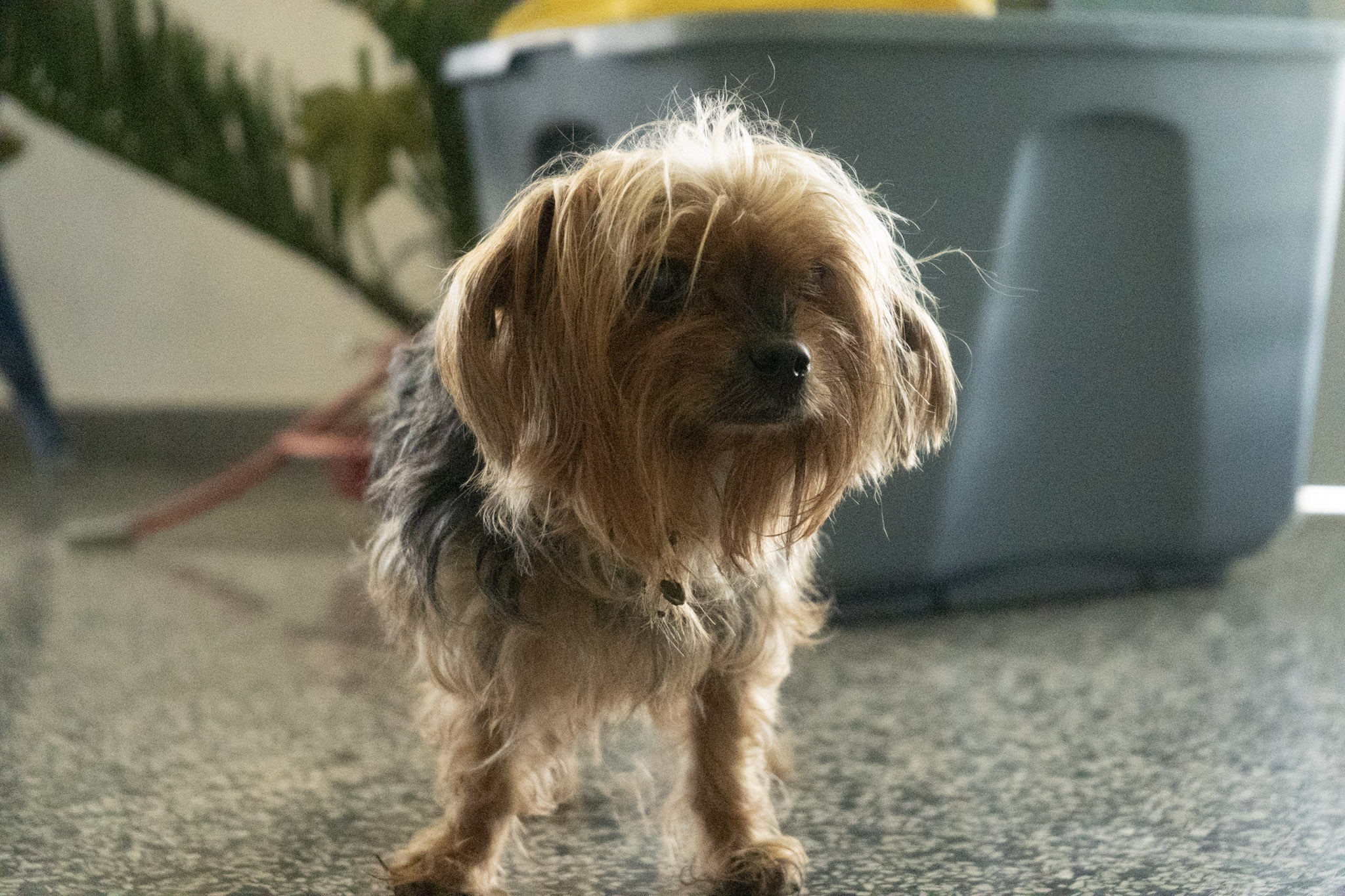 2020-12-19_Guaynabo - foto 50