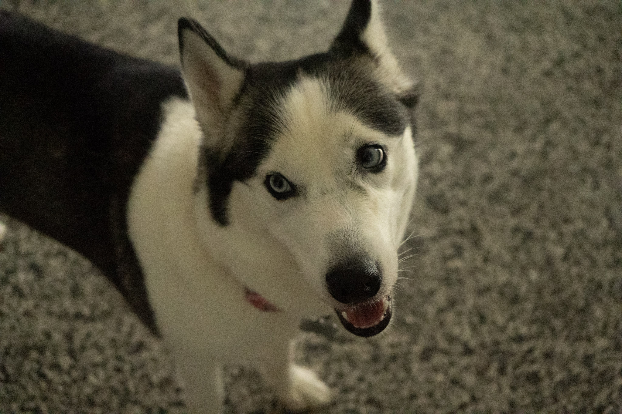 2020-12-19_Guaynabo - foto 97