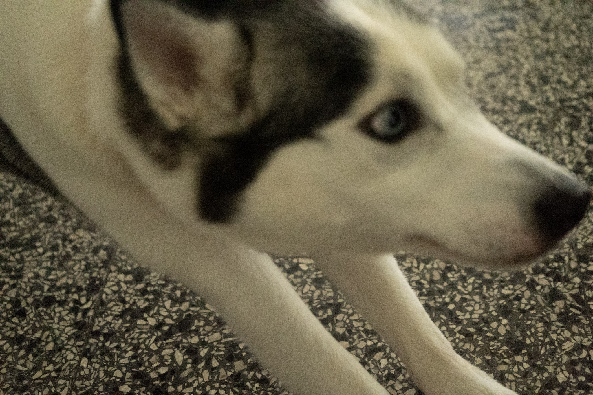 2020-12-19_Guaynabo - foto 101