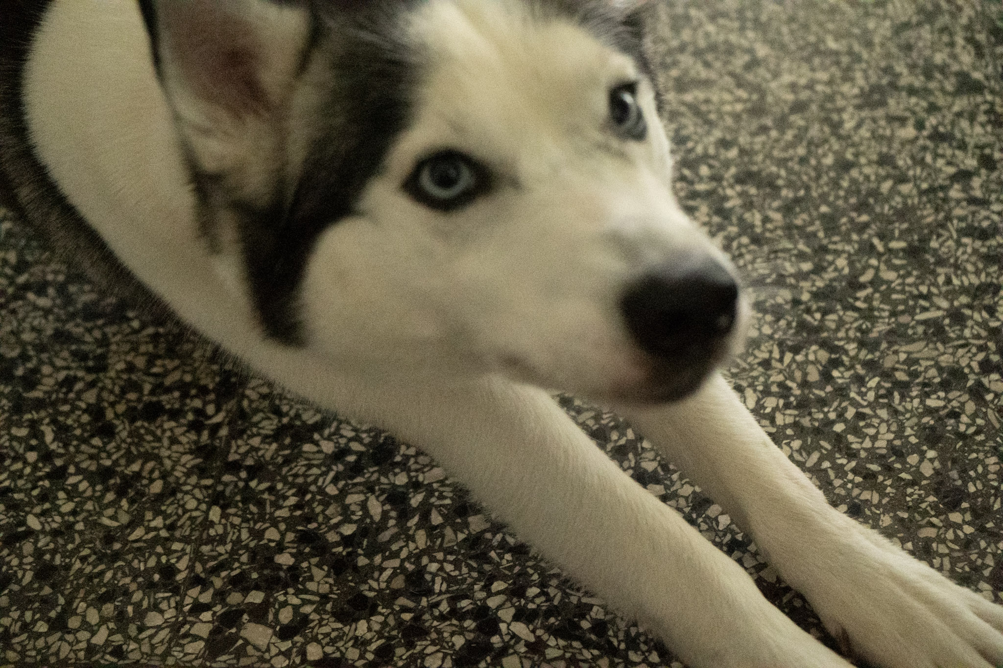 2020-12-19_Guaynabo - foto 102