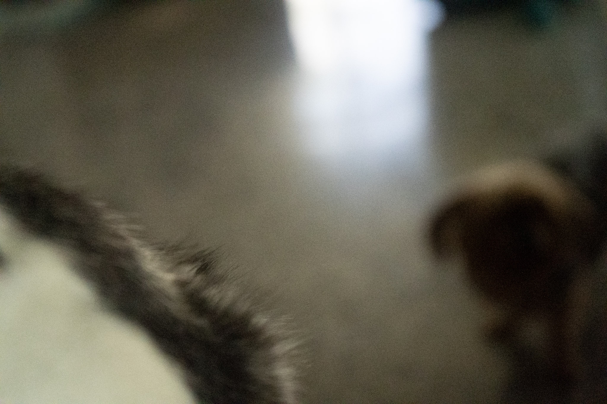 2020-12-19_Guaynabo - foto 103