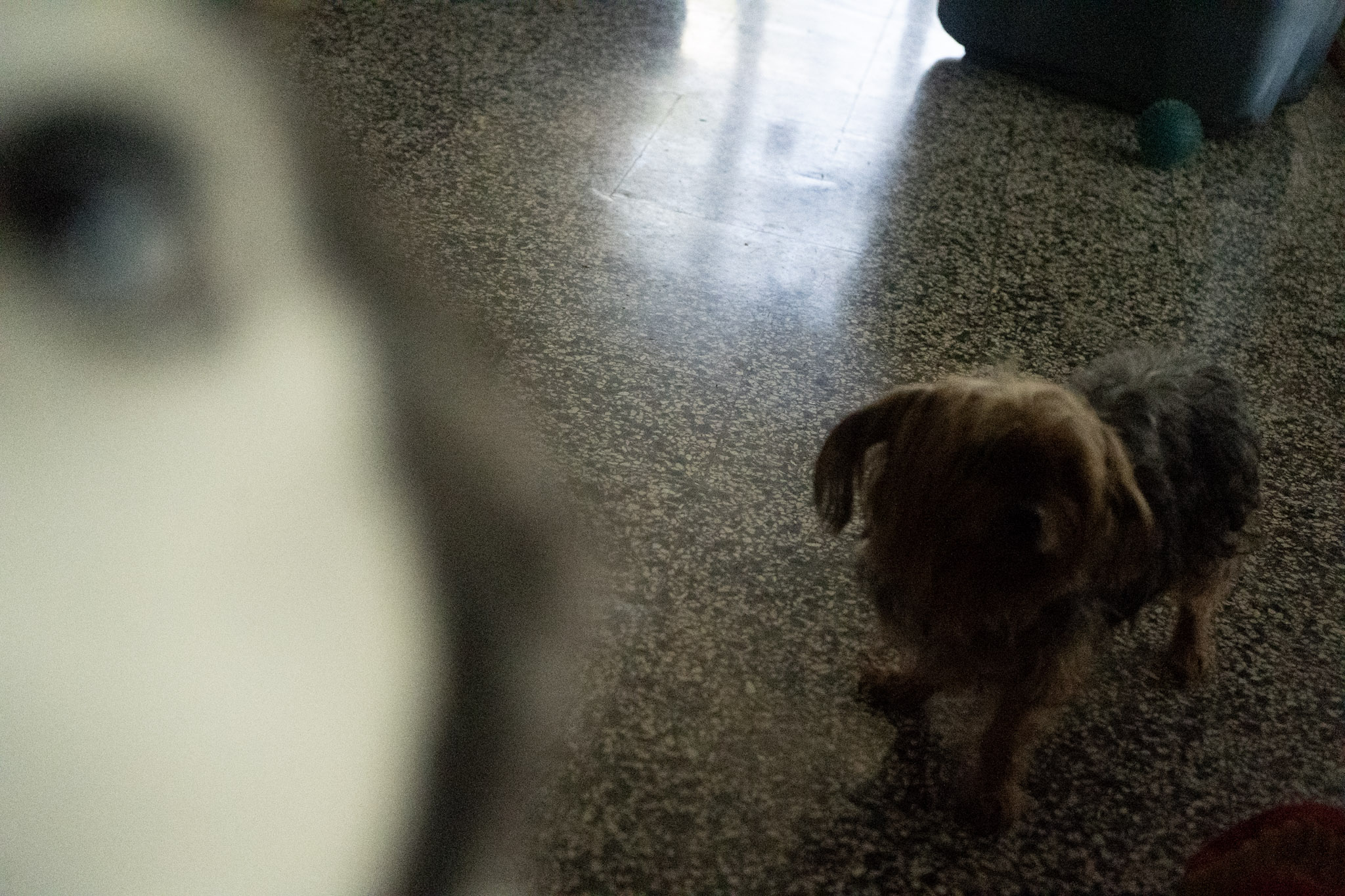 2020-12-19_Guaynabo - foto 104