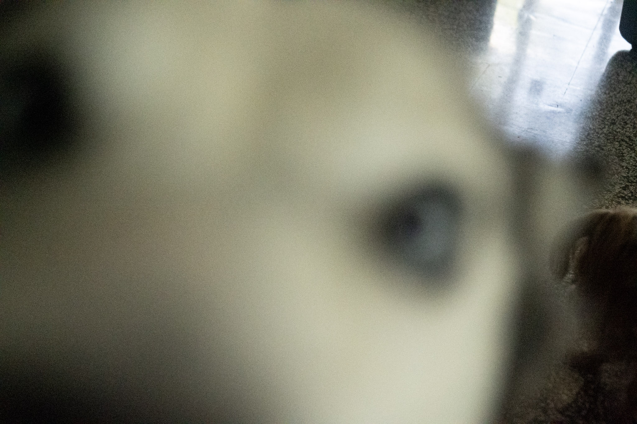 2020-12-19_Guaynabo - foto 105