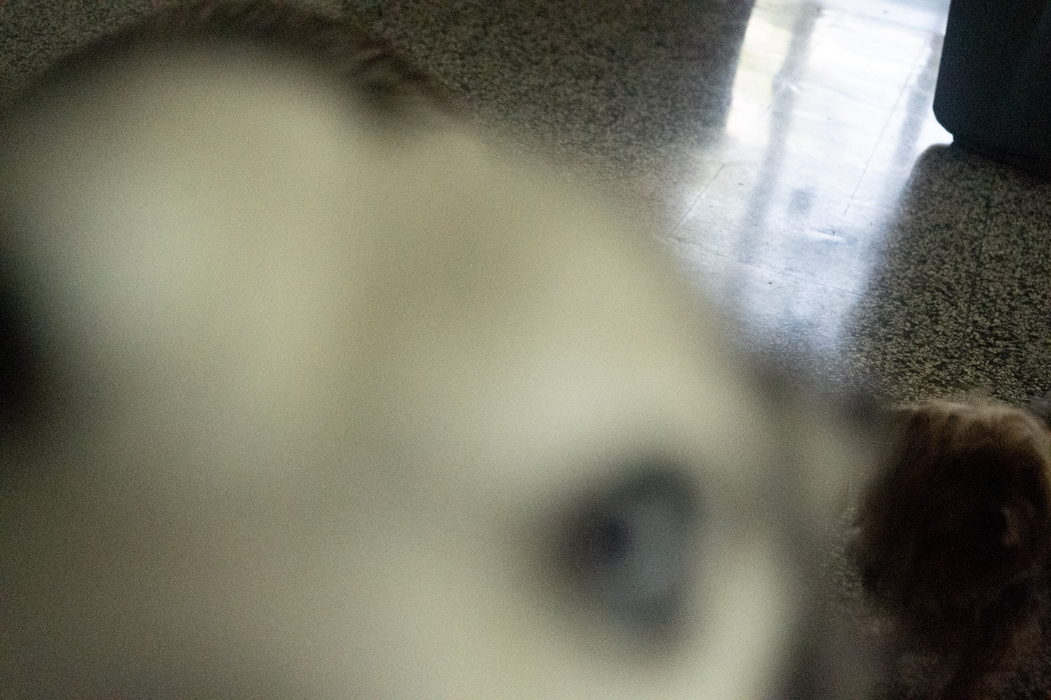 2020-12-19_Guaynabo - foto 106