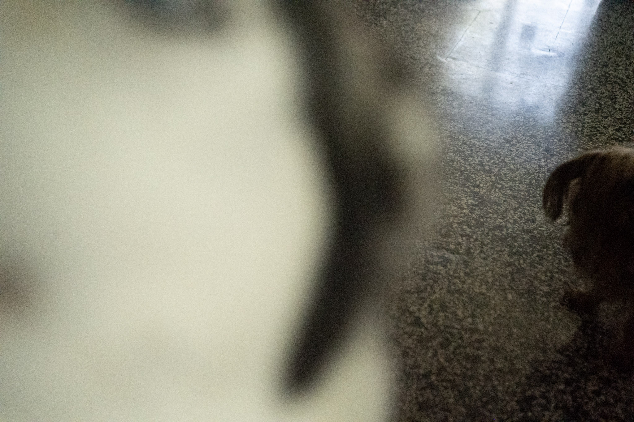 2020-12-19_Guaynabo - foto 107