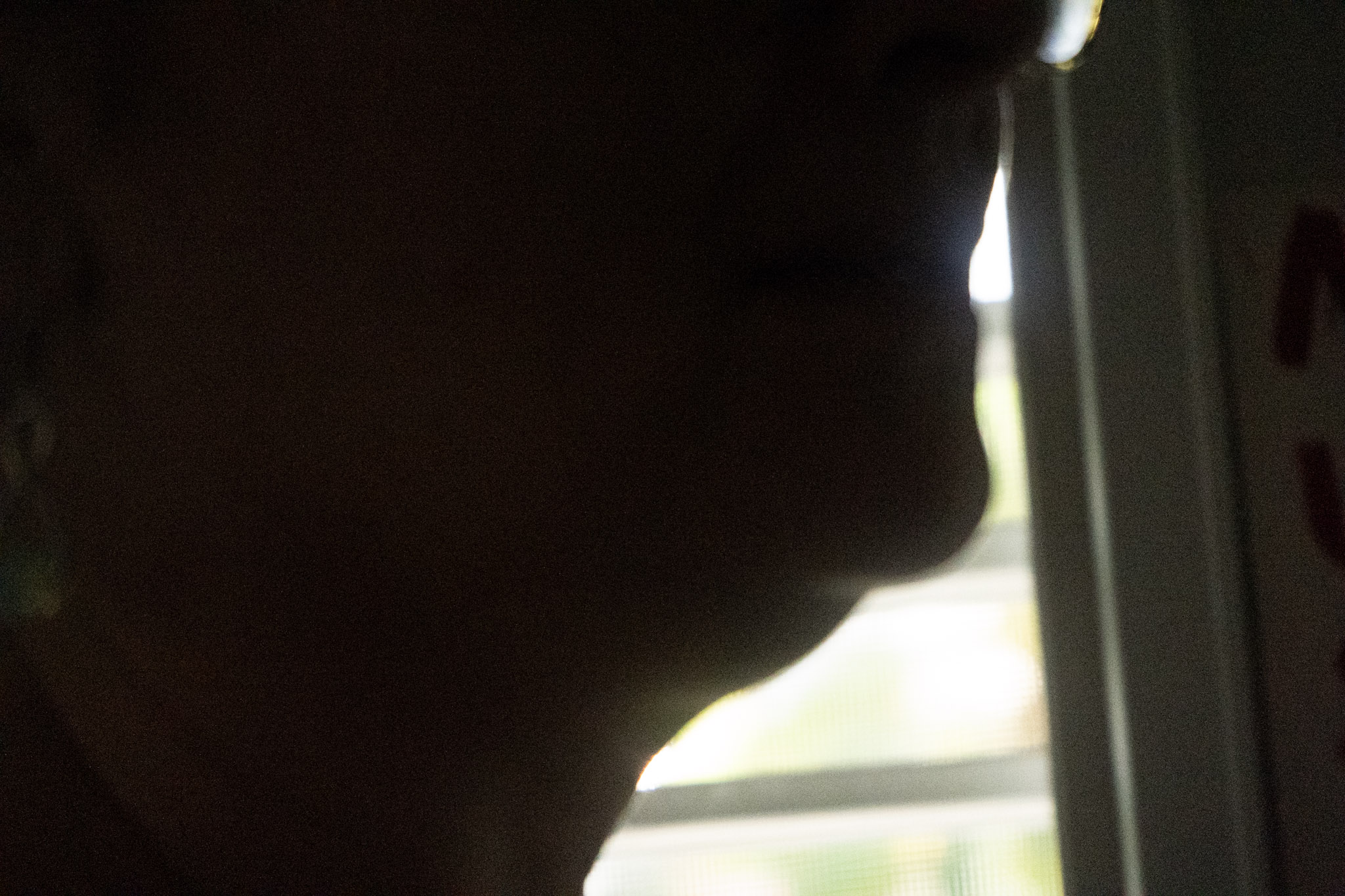 2020-12-19_Guaynabo - foto 121