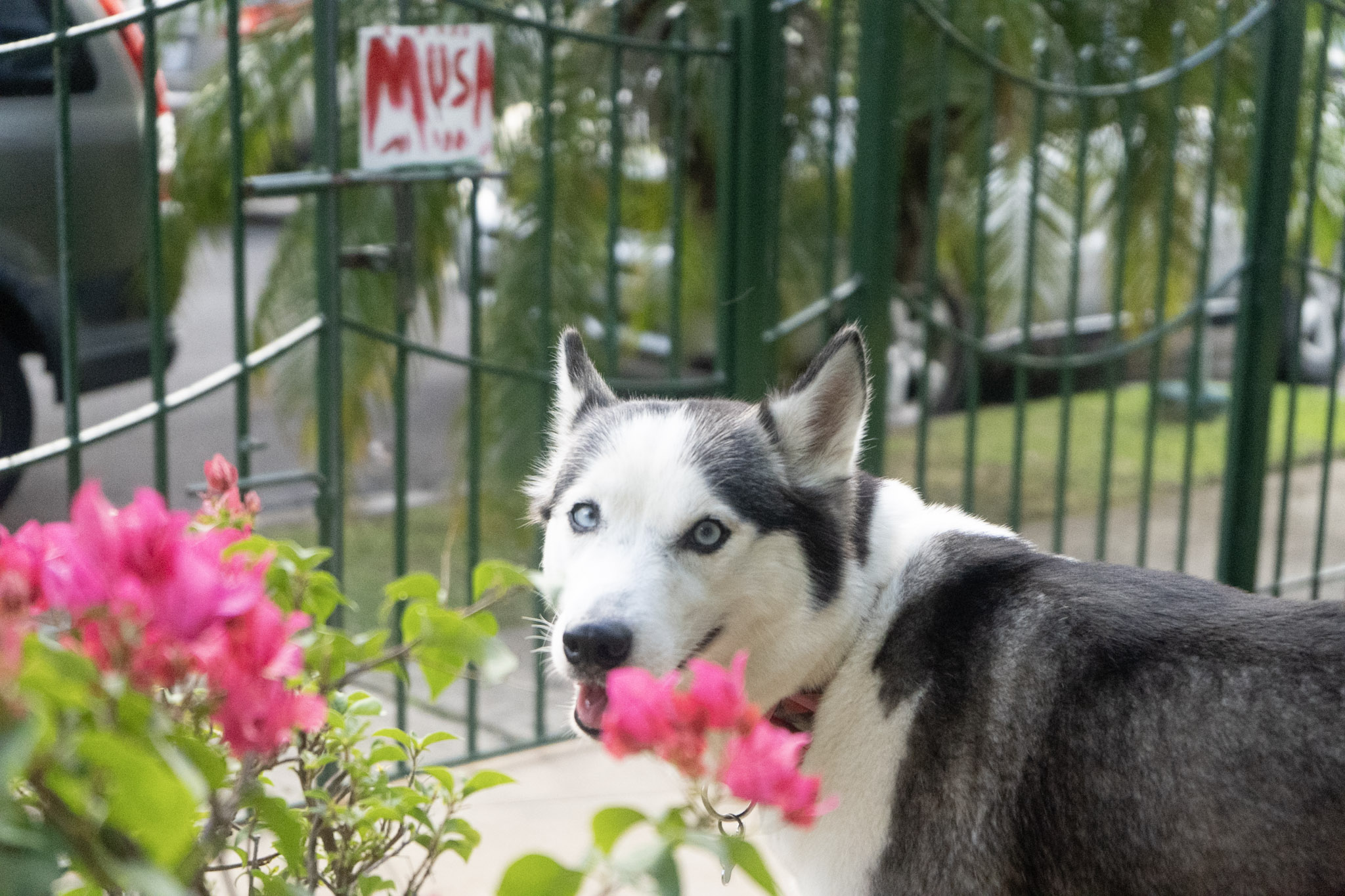 2020-12-19_Guaynabo - foto 134
