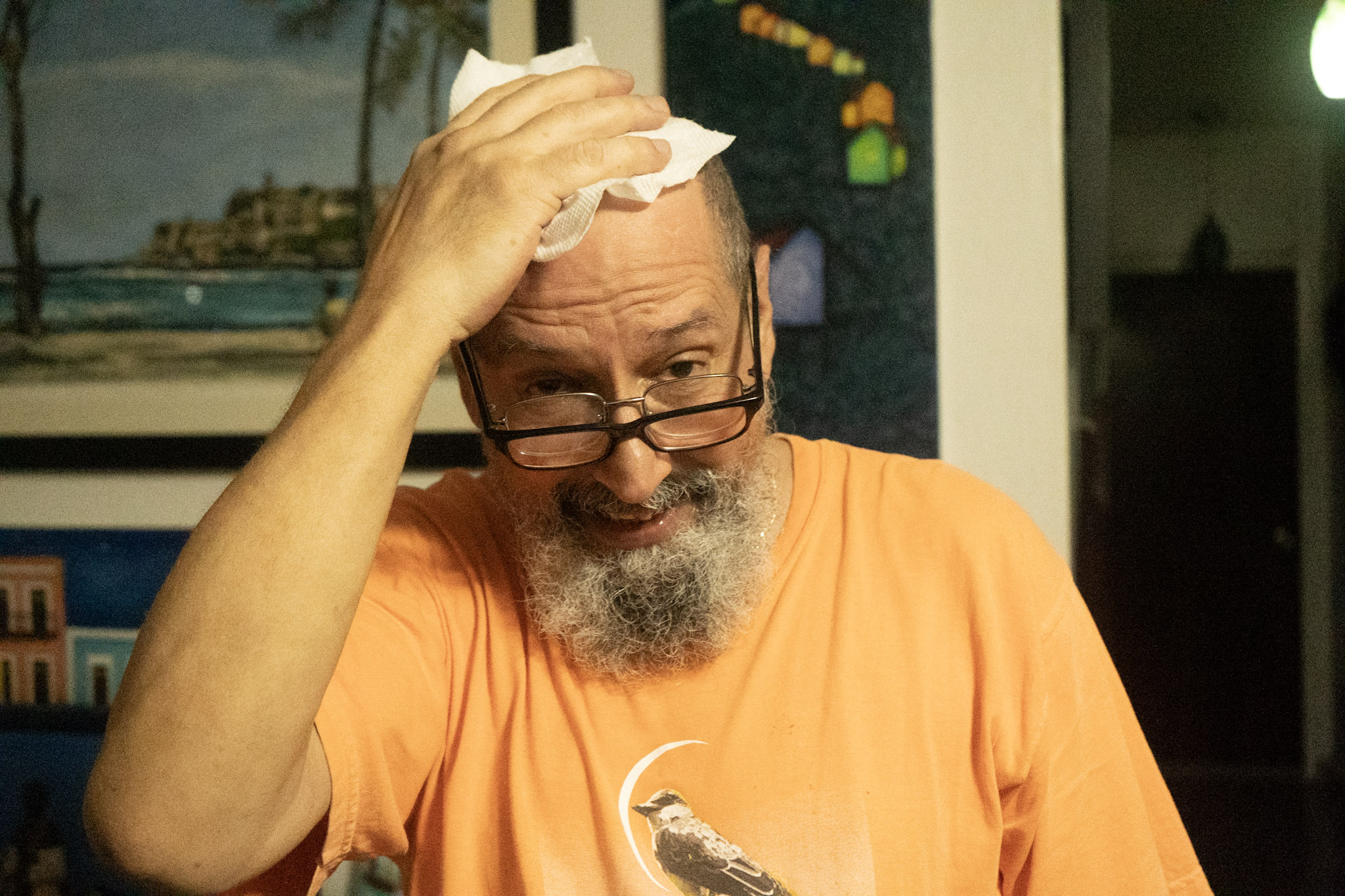 Guaynabo - foto 35