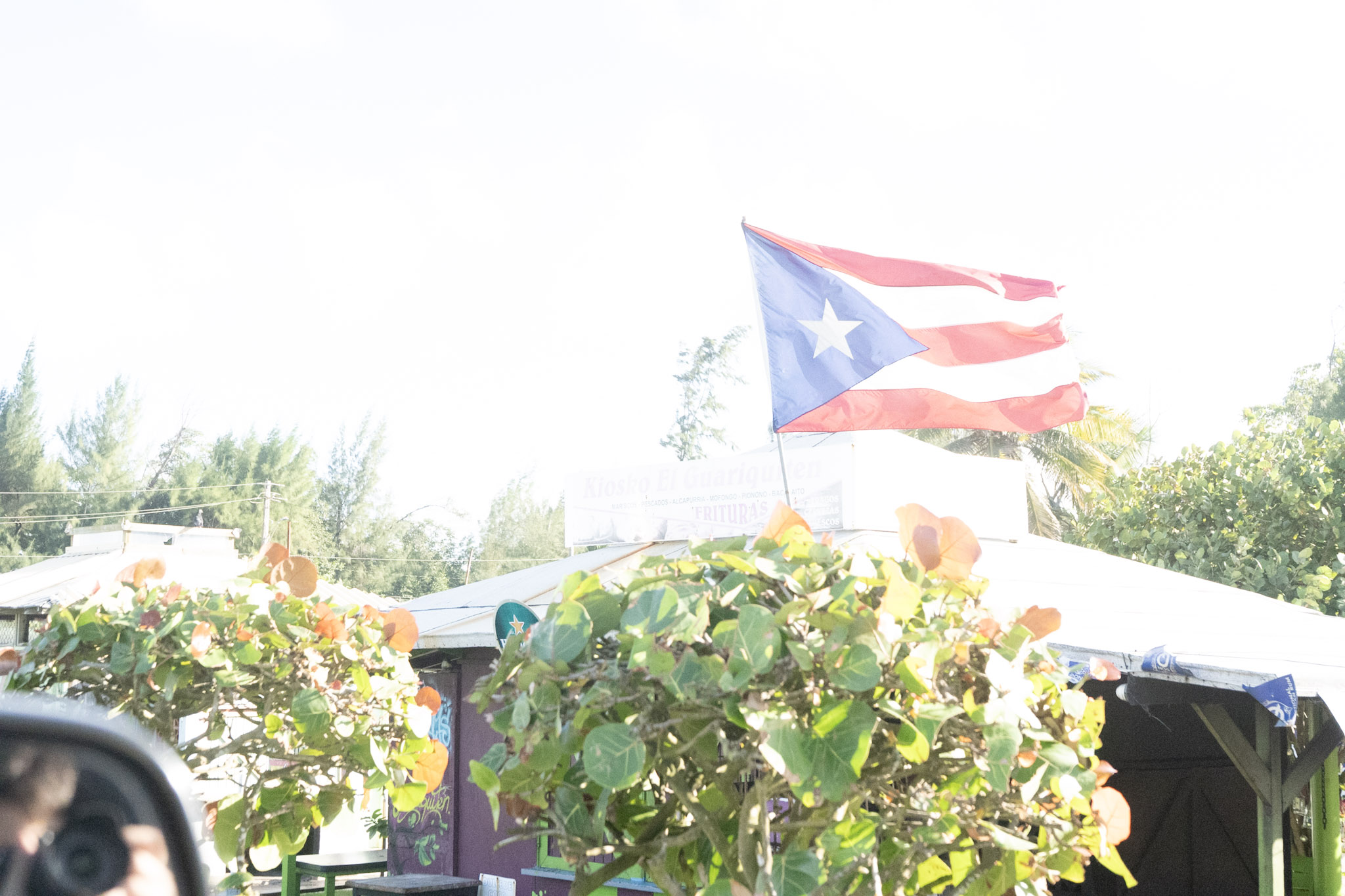 2020-12-20_Piñones - foto 4