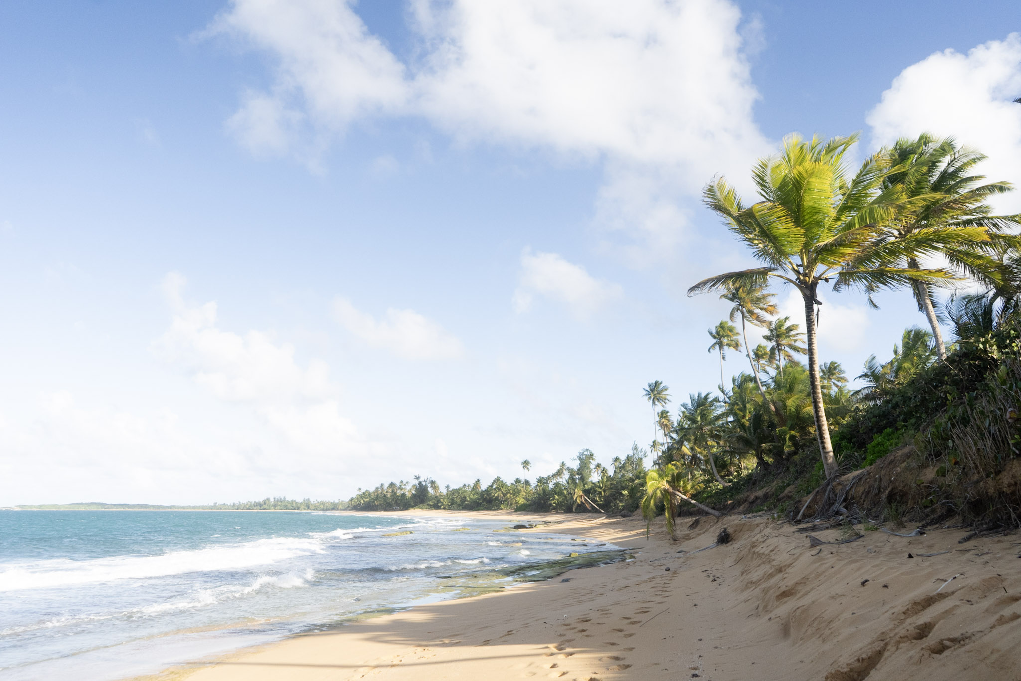 2020-12-20_Piñones - foto 20