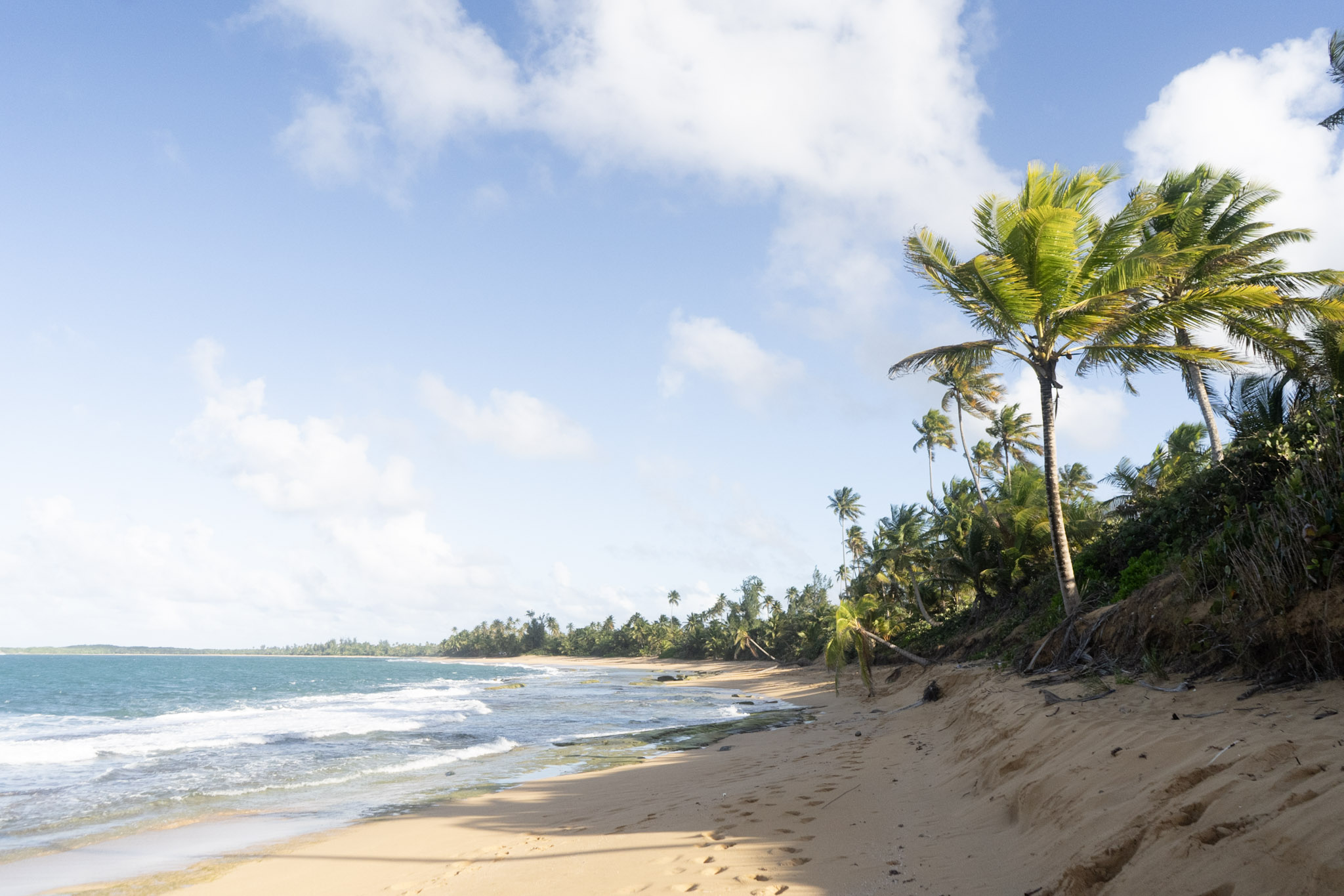 2020-12-20_Piñones - foto 21