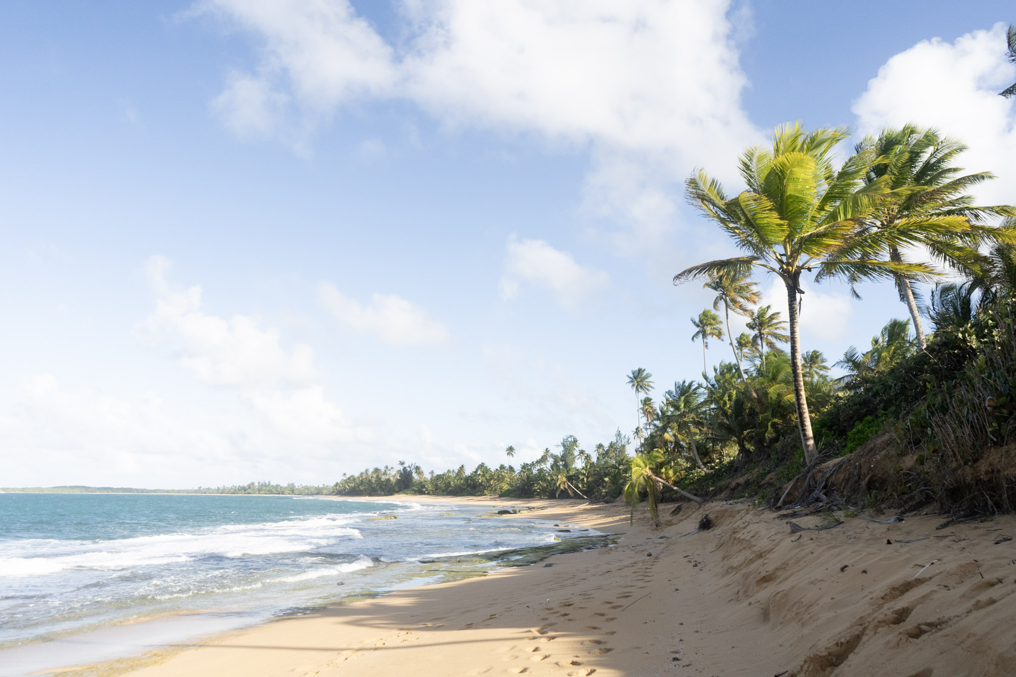 2020-12-20_Piñones - foto 22