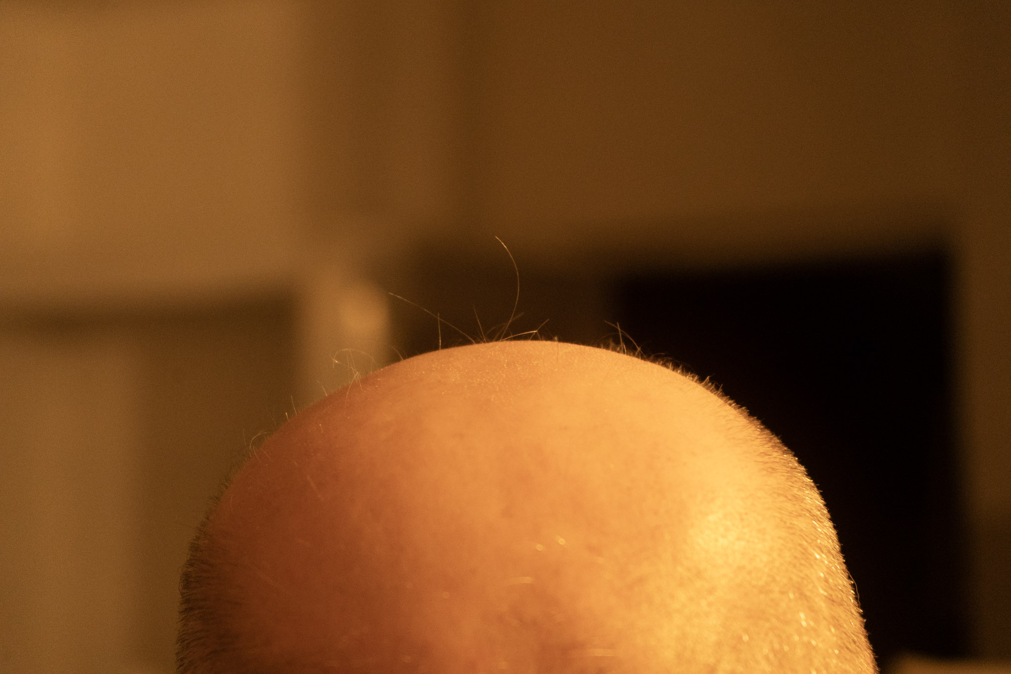 2020-12-25_Guaynabo - foto 15