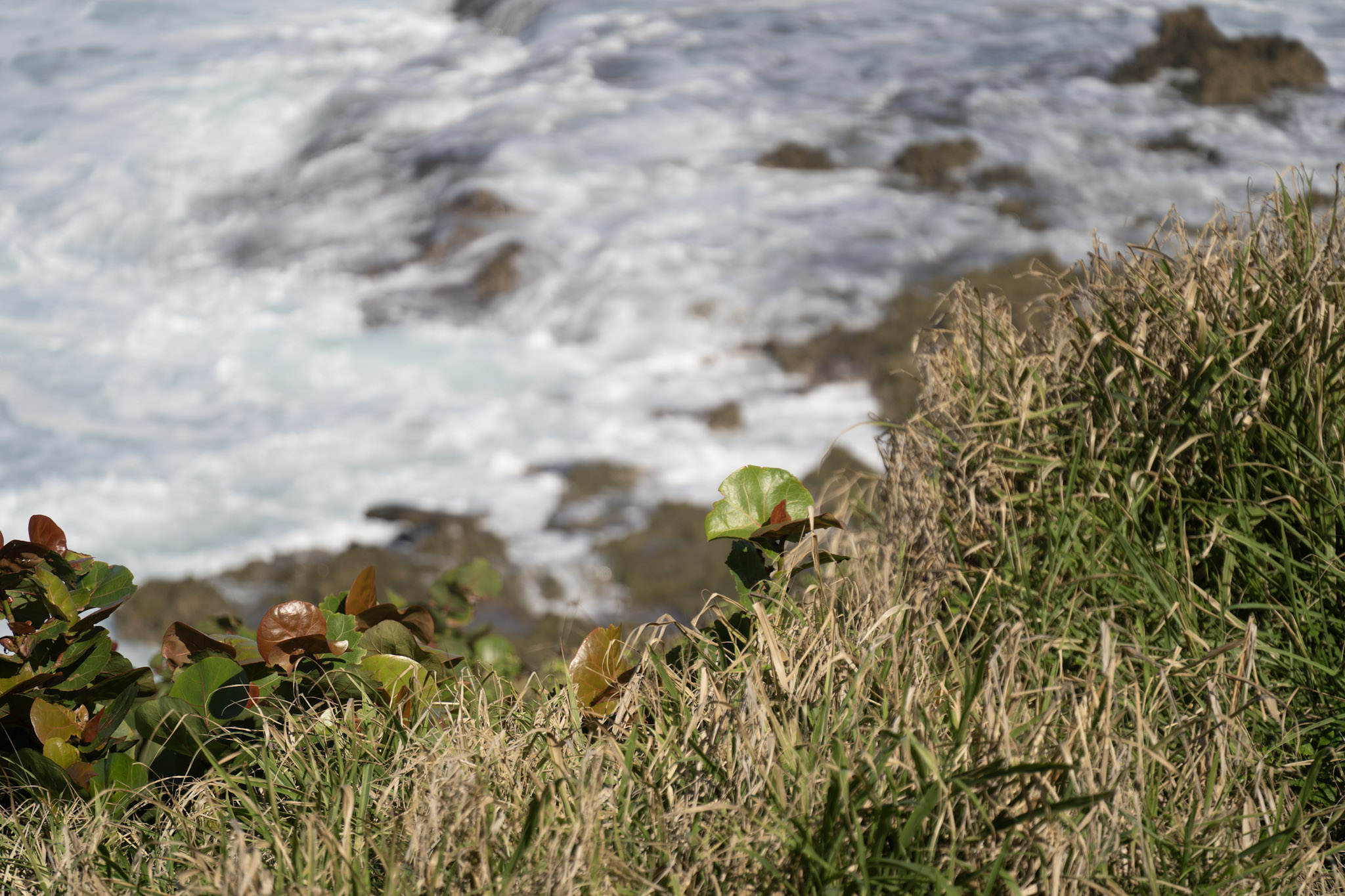 2020-12-26_San_Juan - foto 94