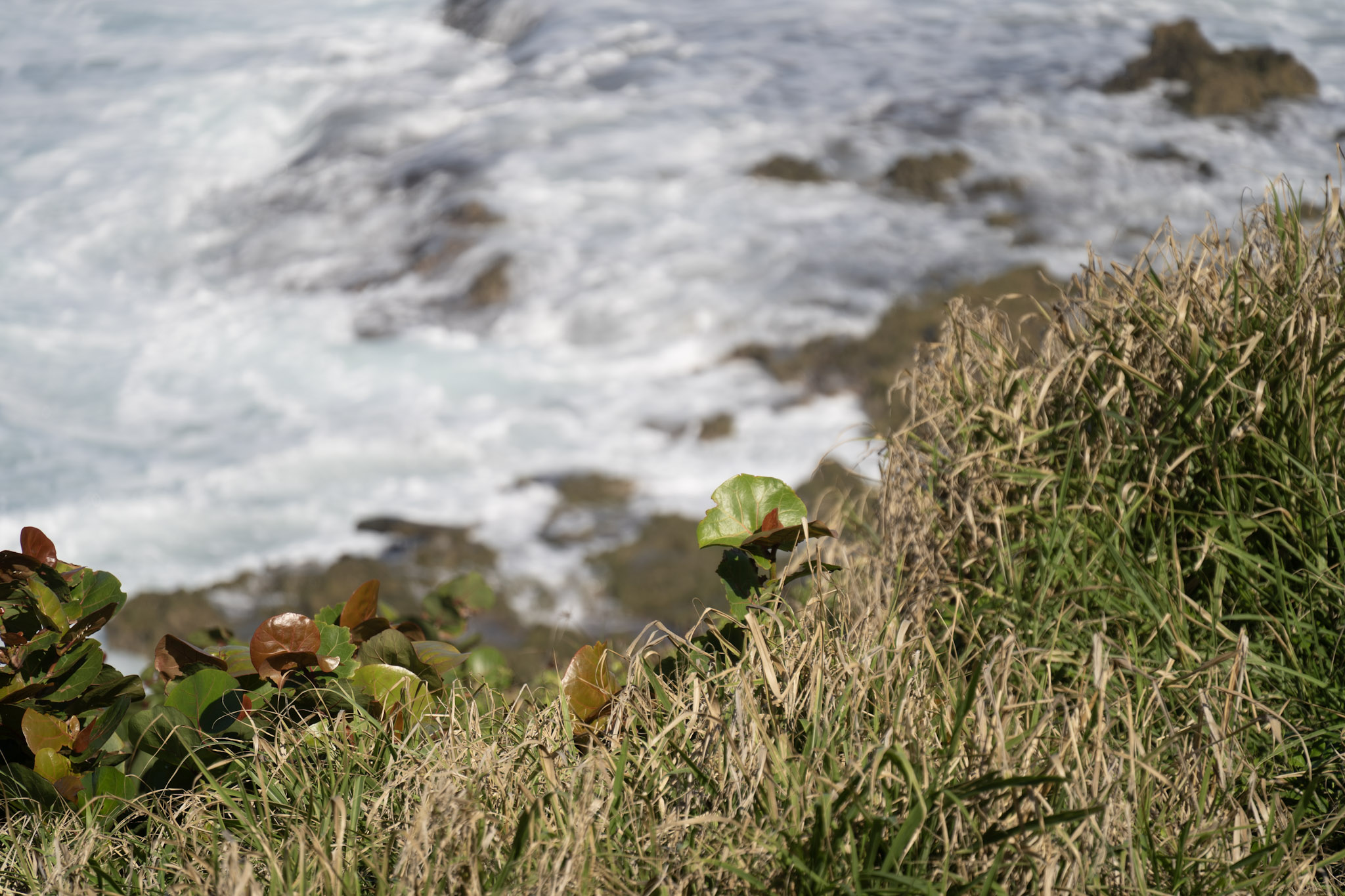 2020-12-26_San_Juan - foto 95