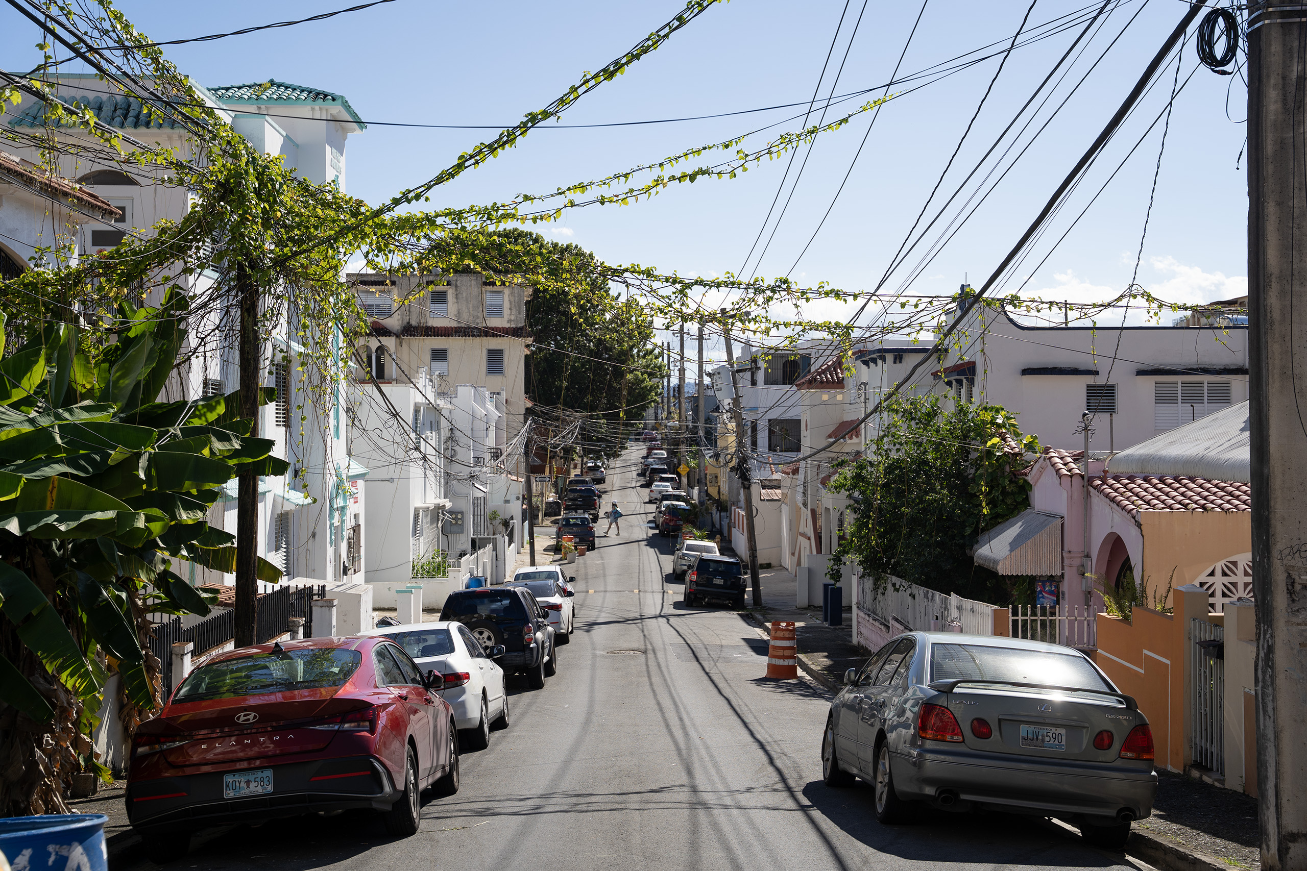 Santa Rita