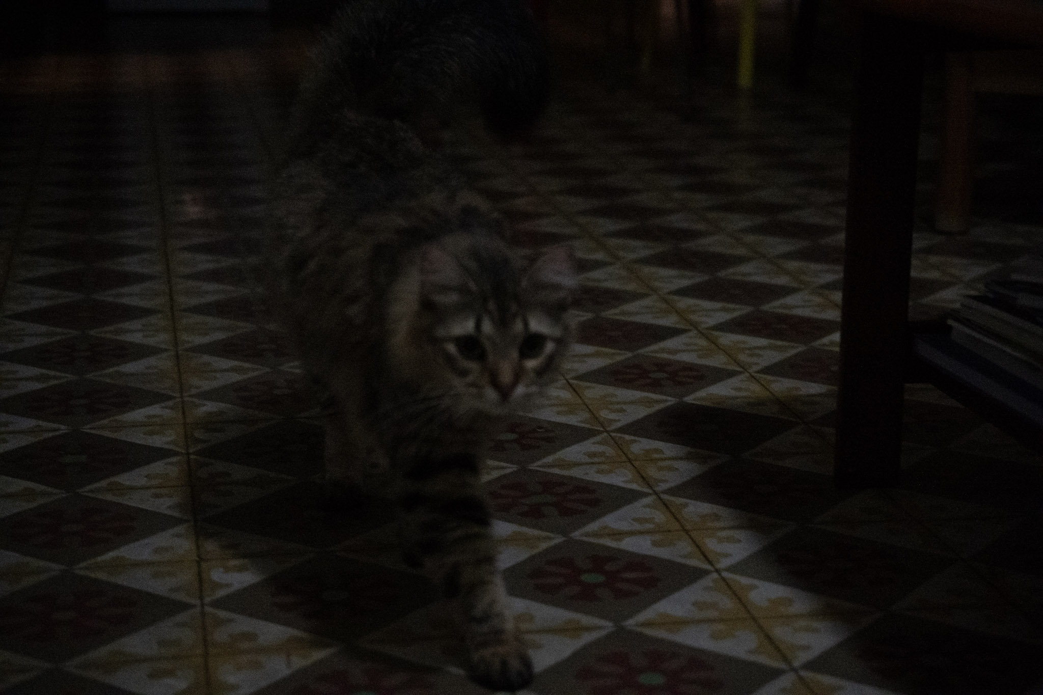 2020-12-28_Santa_Rita