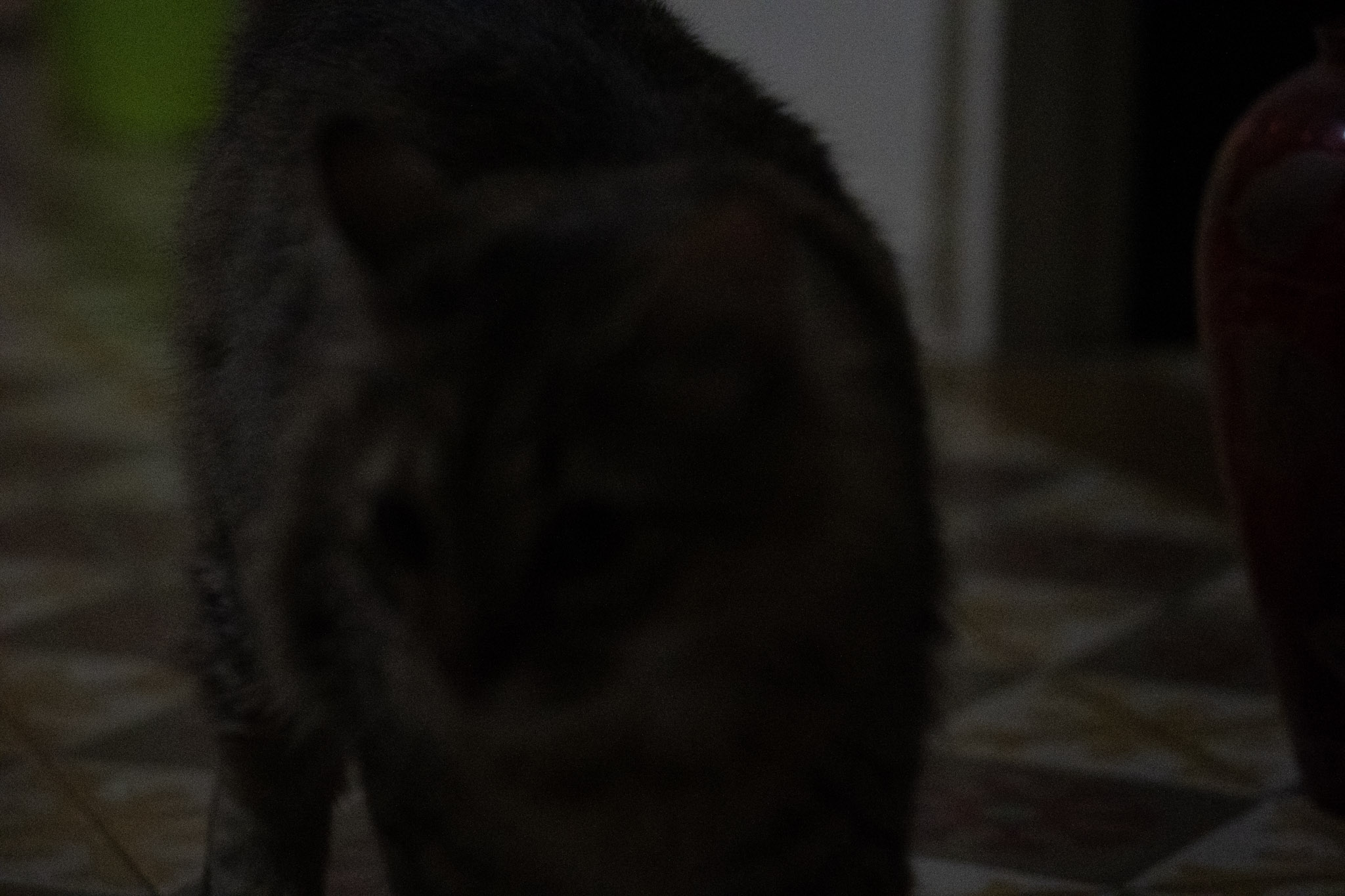 2020-12-28_Santa_Rita - foto 2