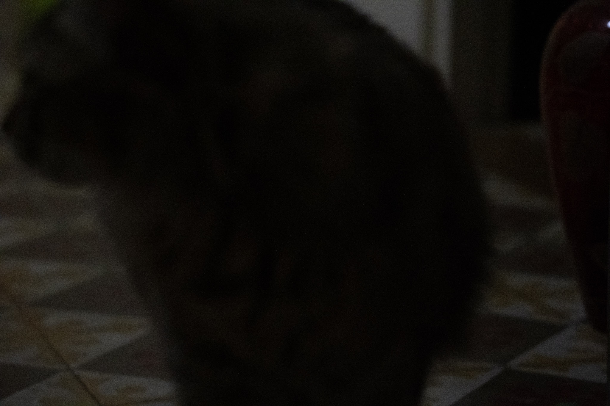 2020-12-28_Santa_Rita - foto 3