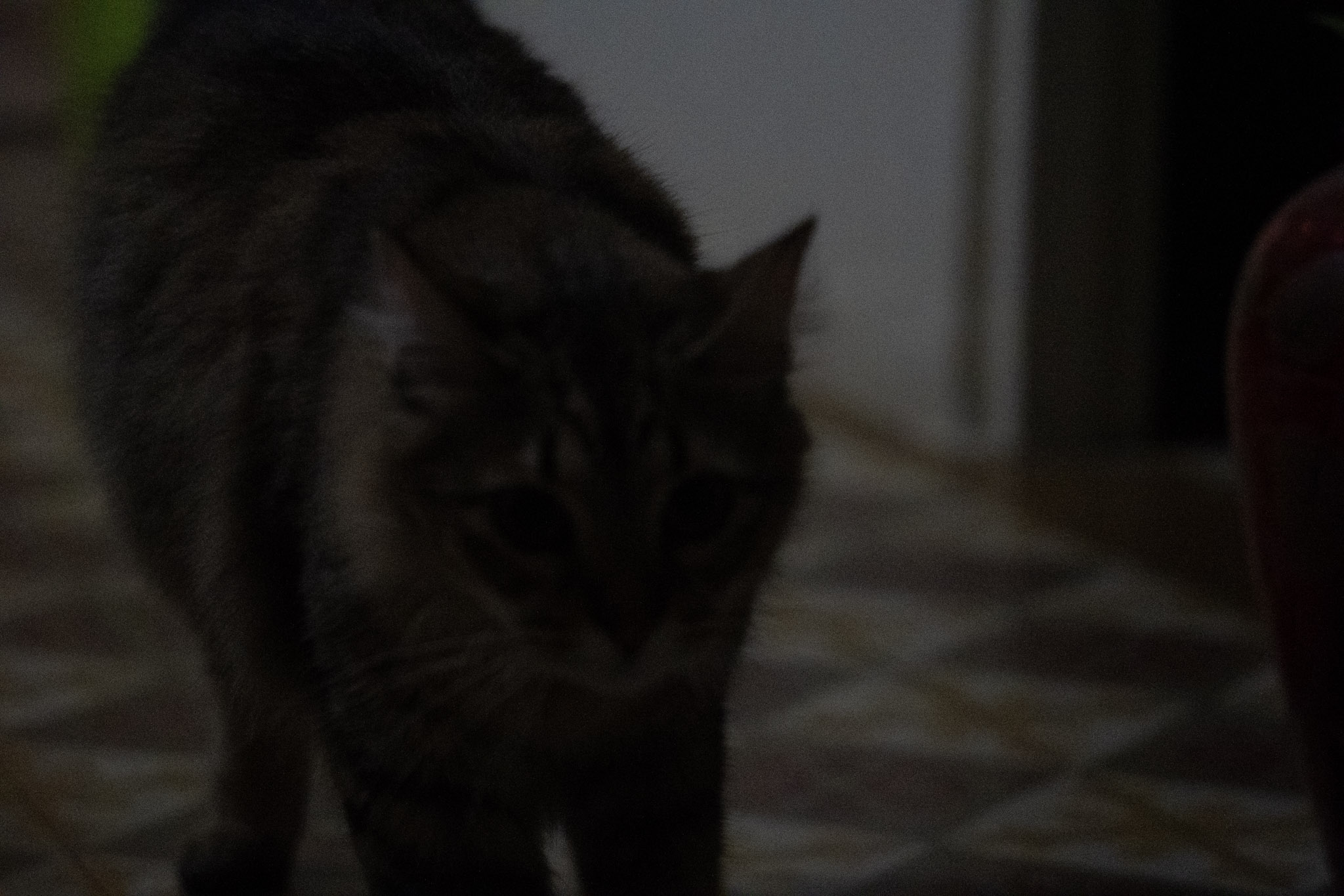 2020-12-28_Santa_Rita - foto 4