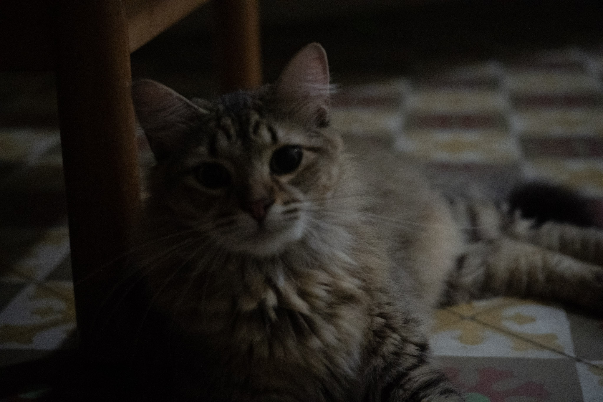 2020-12-28_Santa_Rita - foto 5