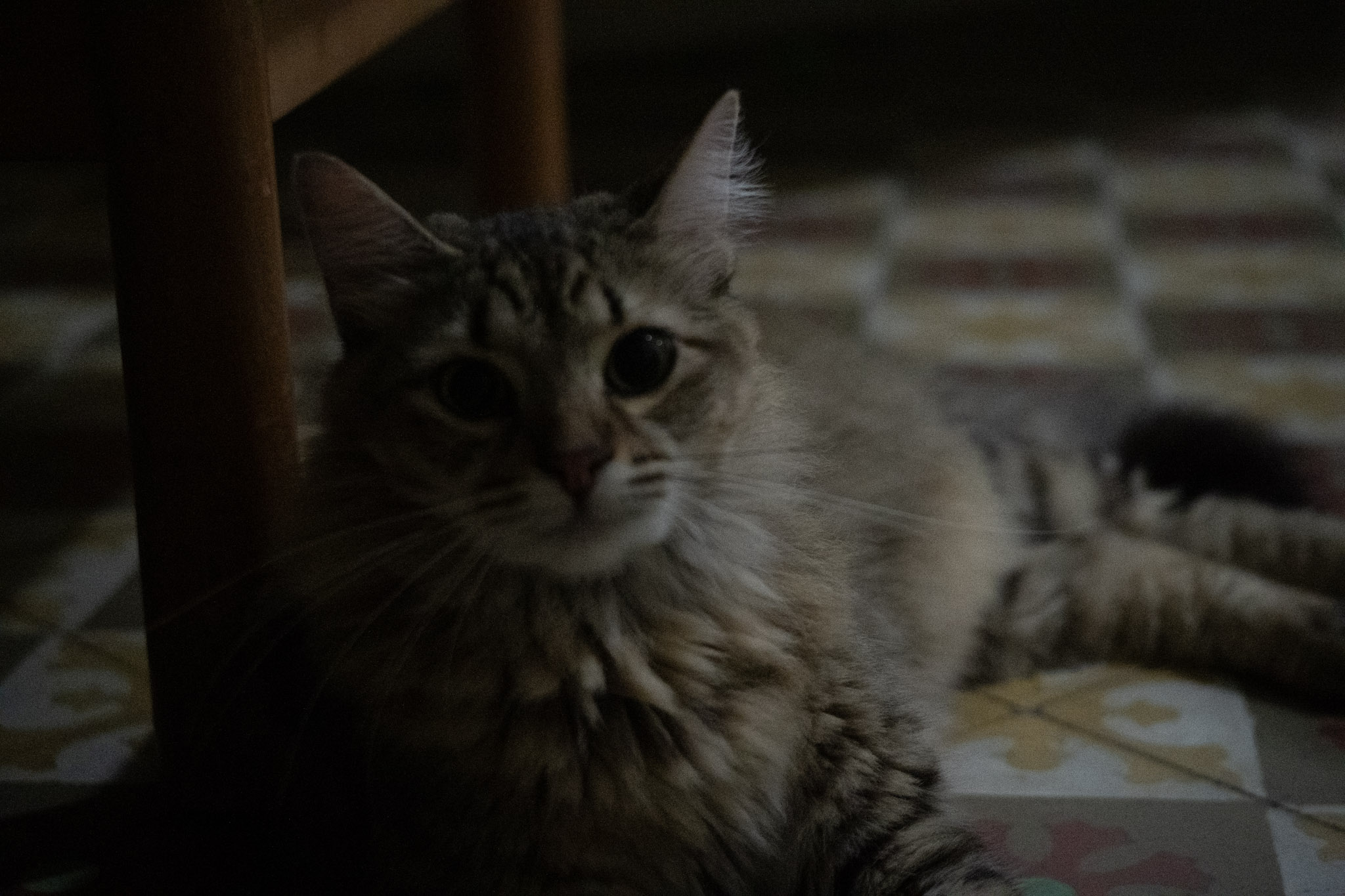 2020-12-28_Santa_Rita - foto 6