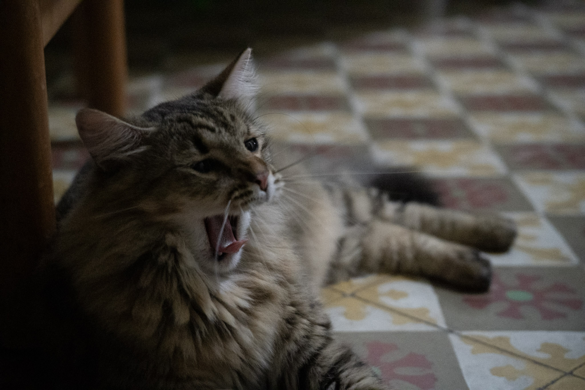 2020-12-28_Santa_Rita - foto 7