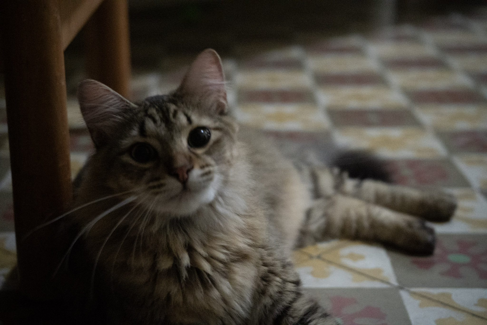 2020-12-28_Santa_Rita - foto 8