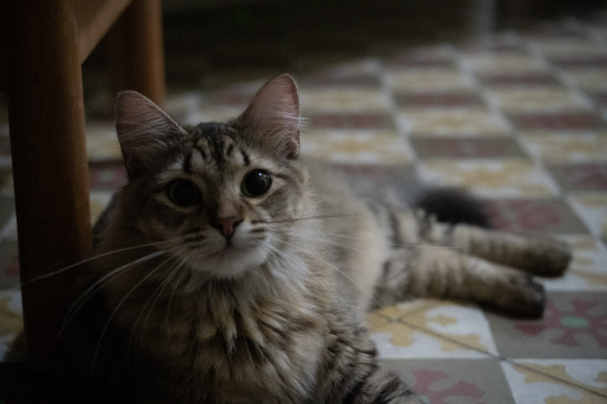 2020-12-28_Santa_Rita - foto 9