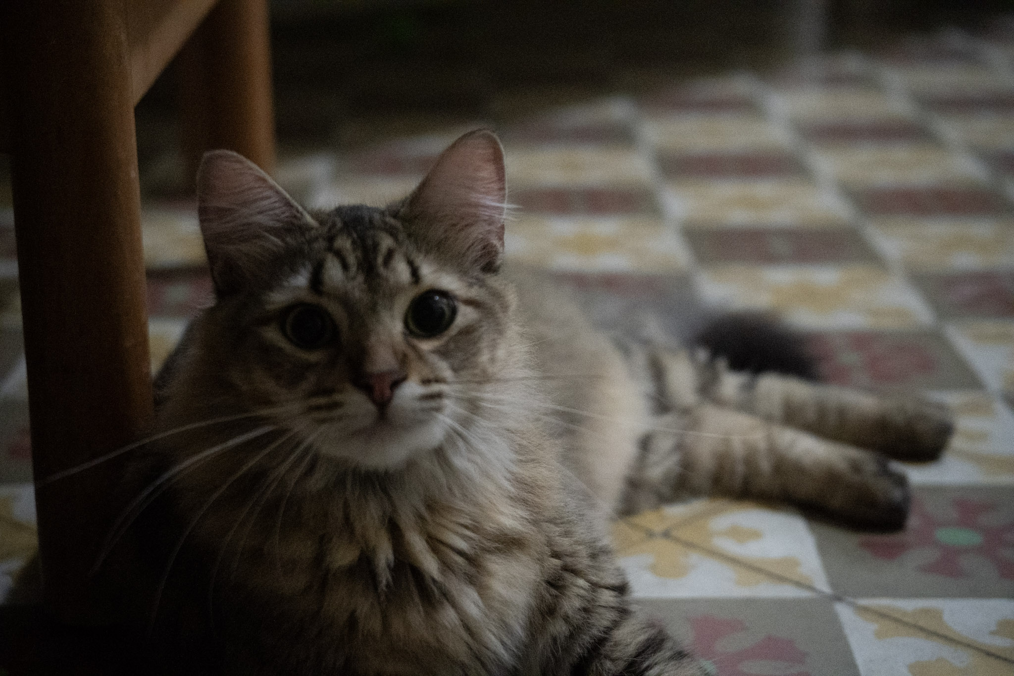 2020-12-28_Santa_Rita - foto 10