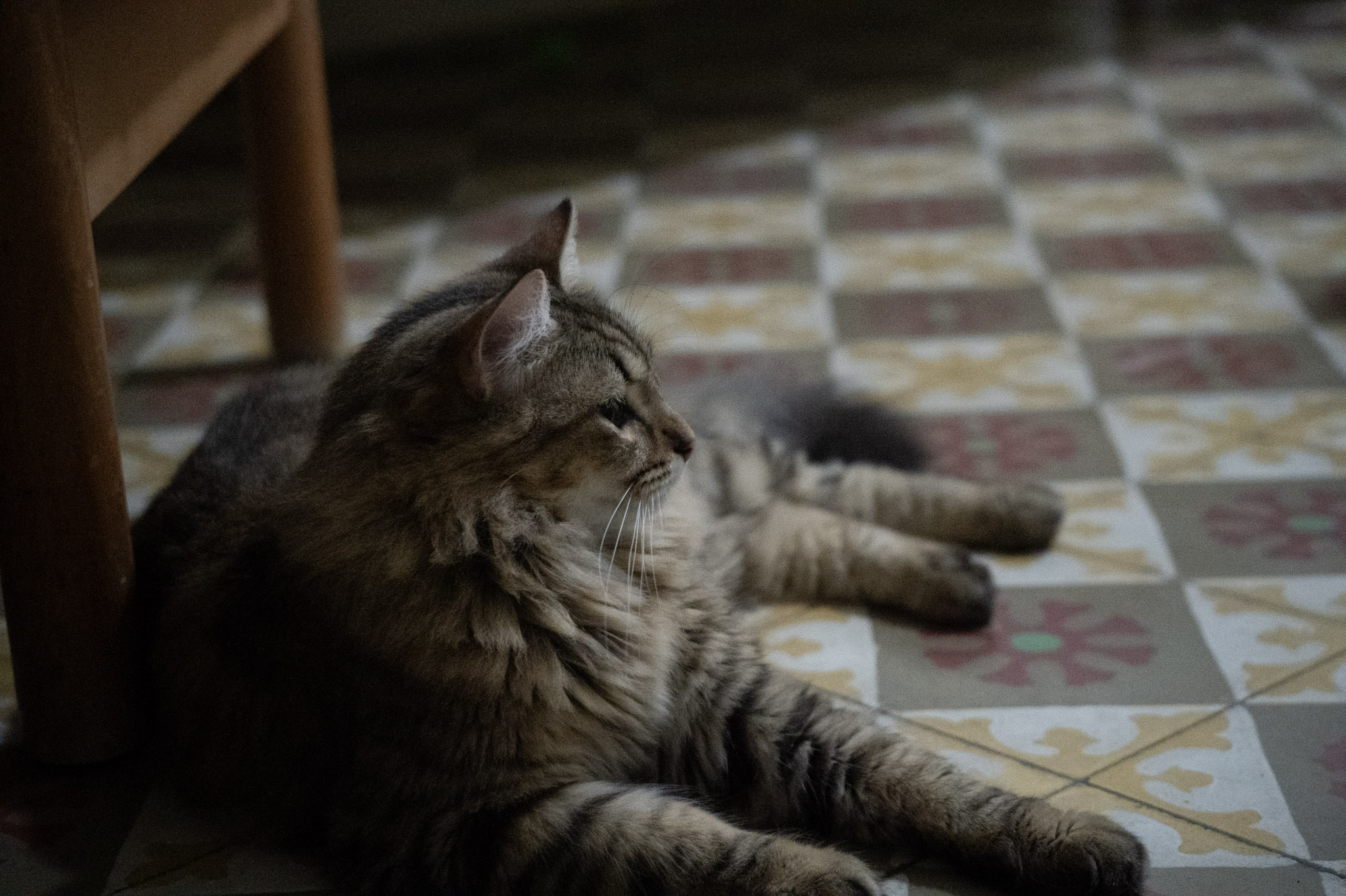 2020-12-28_Santa_Rita - foto 11