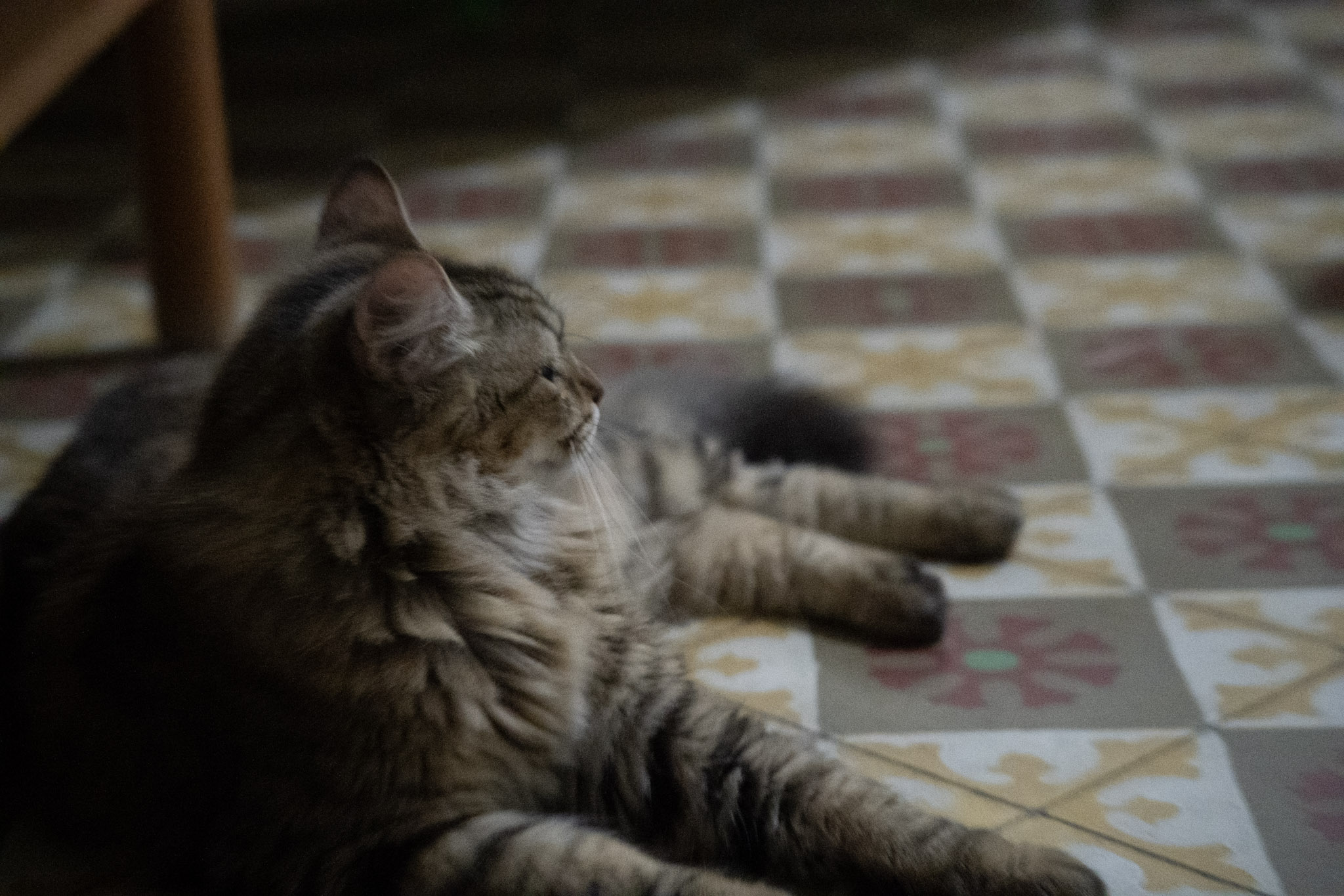 2020-12-28_Santa_Rita - foto 12