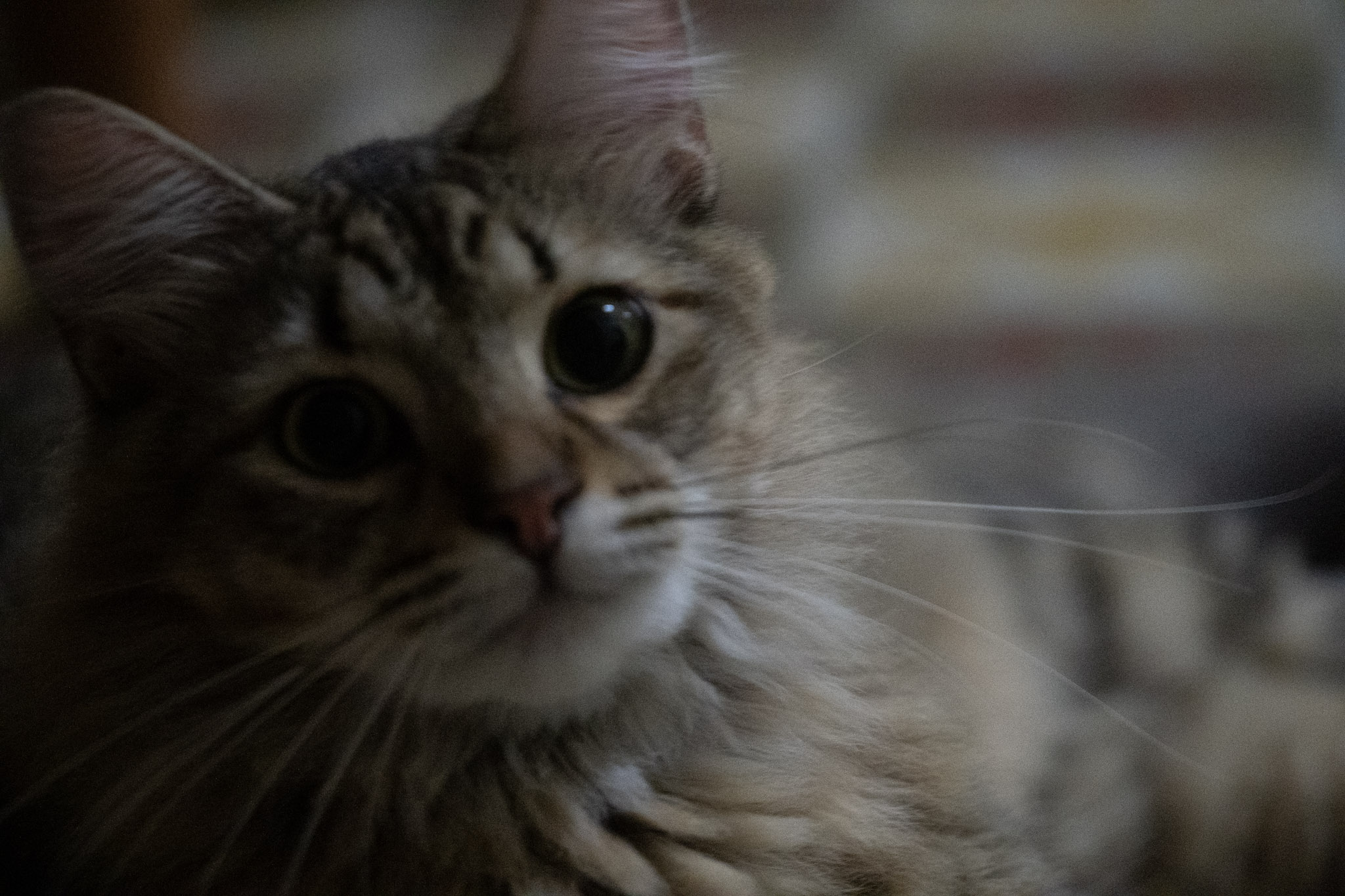 2020-12-28_Santa_Rita - foto 15