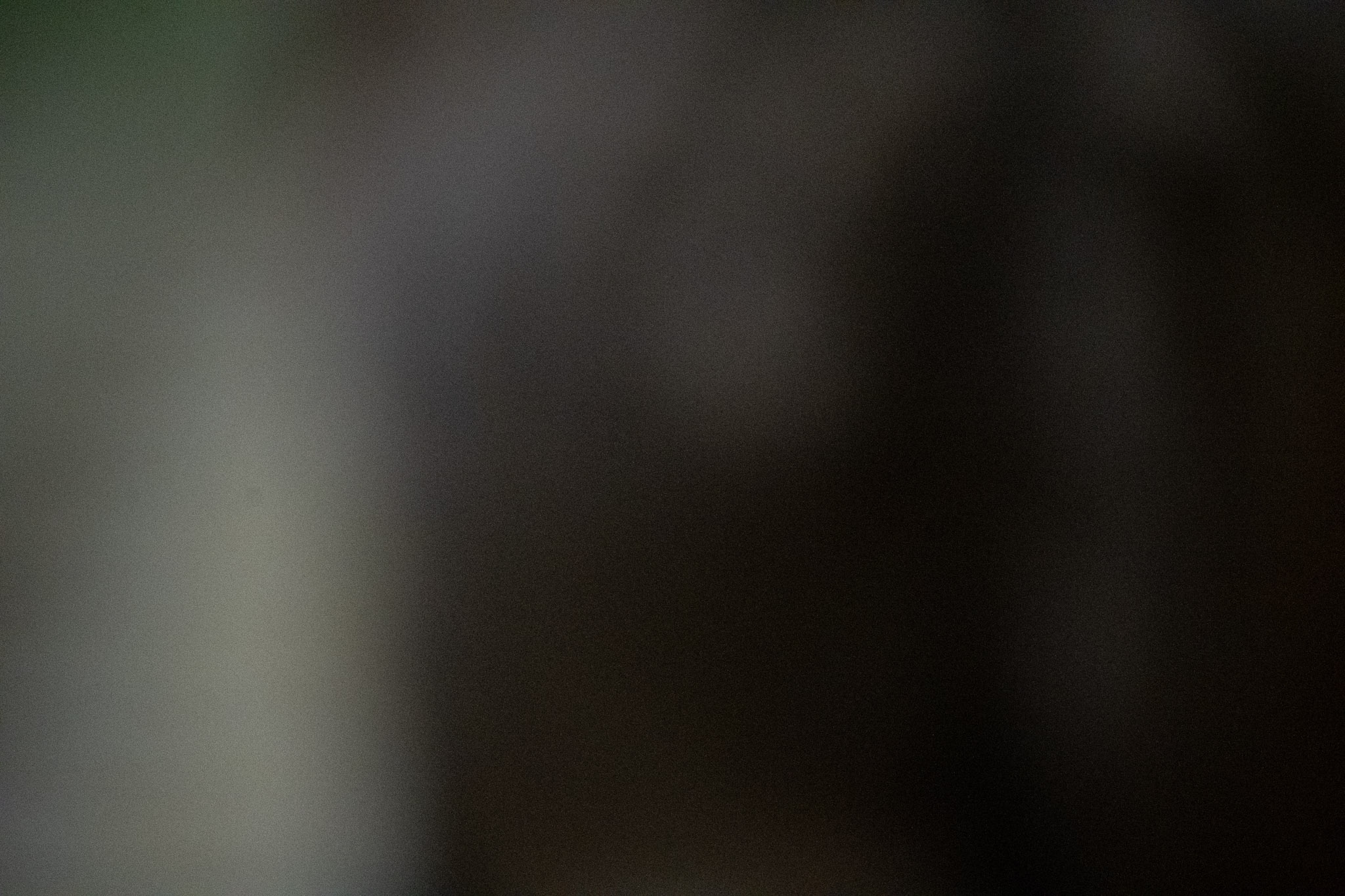 2020-12-28_Santa_Rita - foto 23