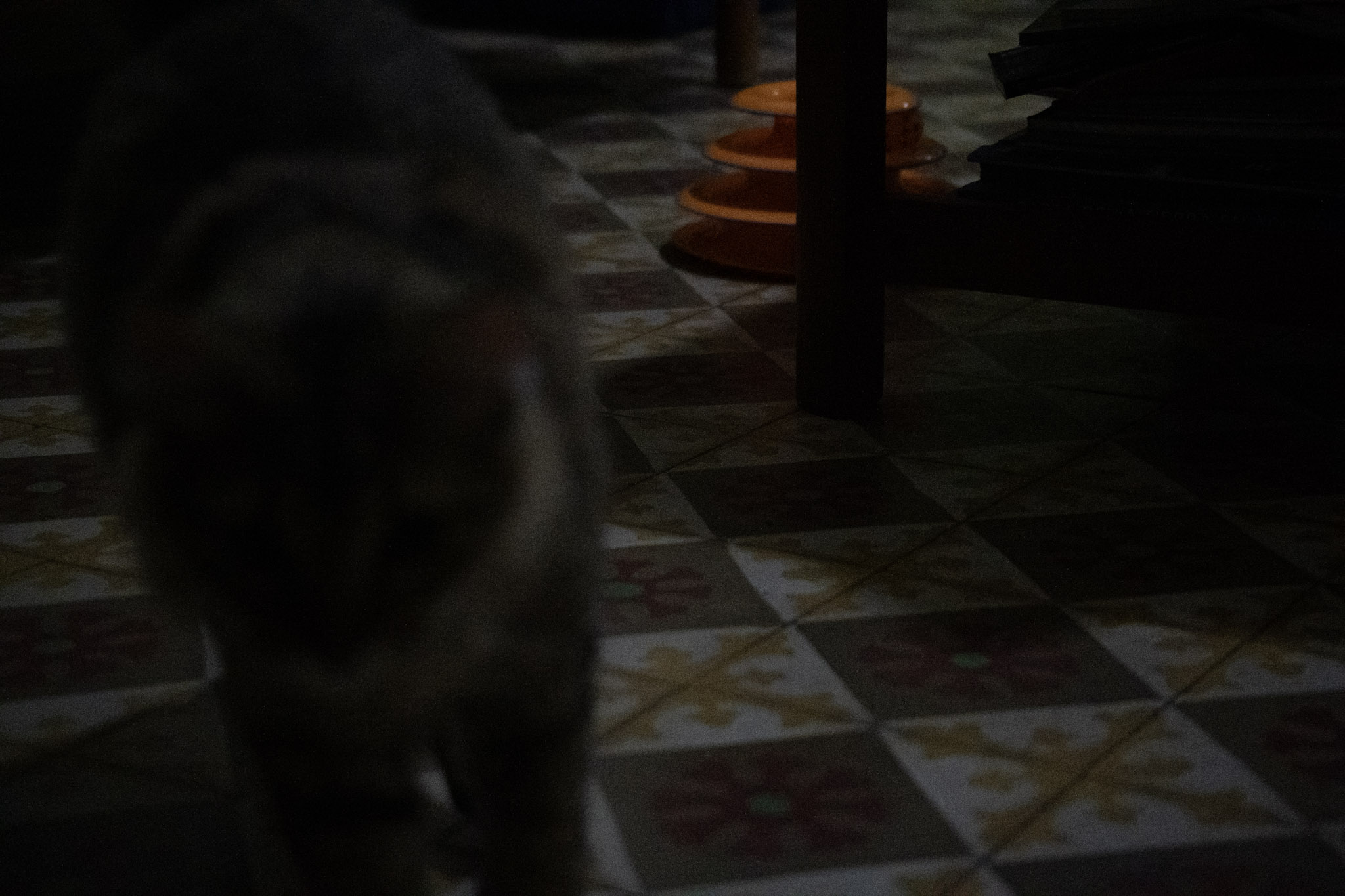 2020-12-28_Santa_Rita - foto 24