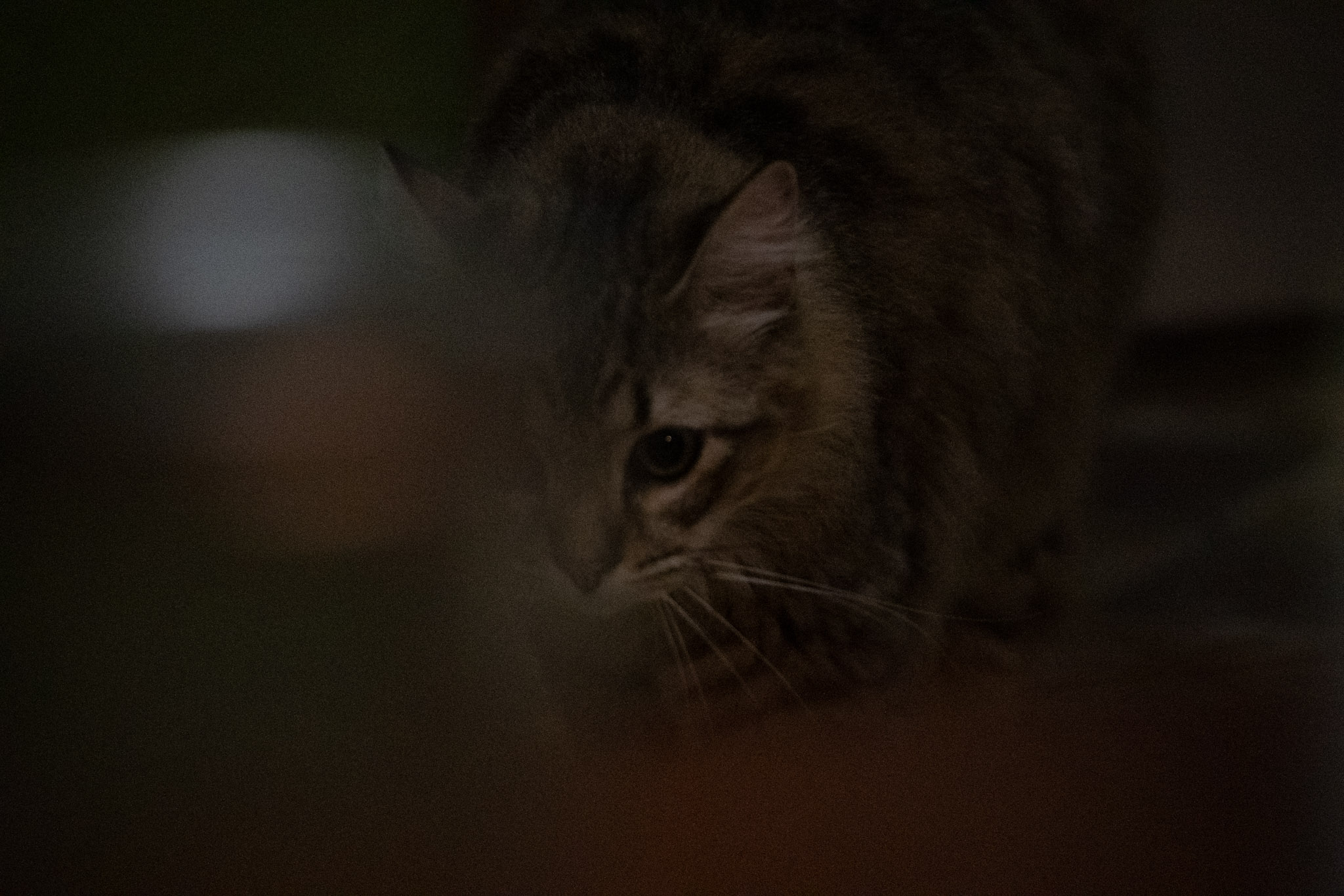 2020-12-28_Santa_Rita - foto 26