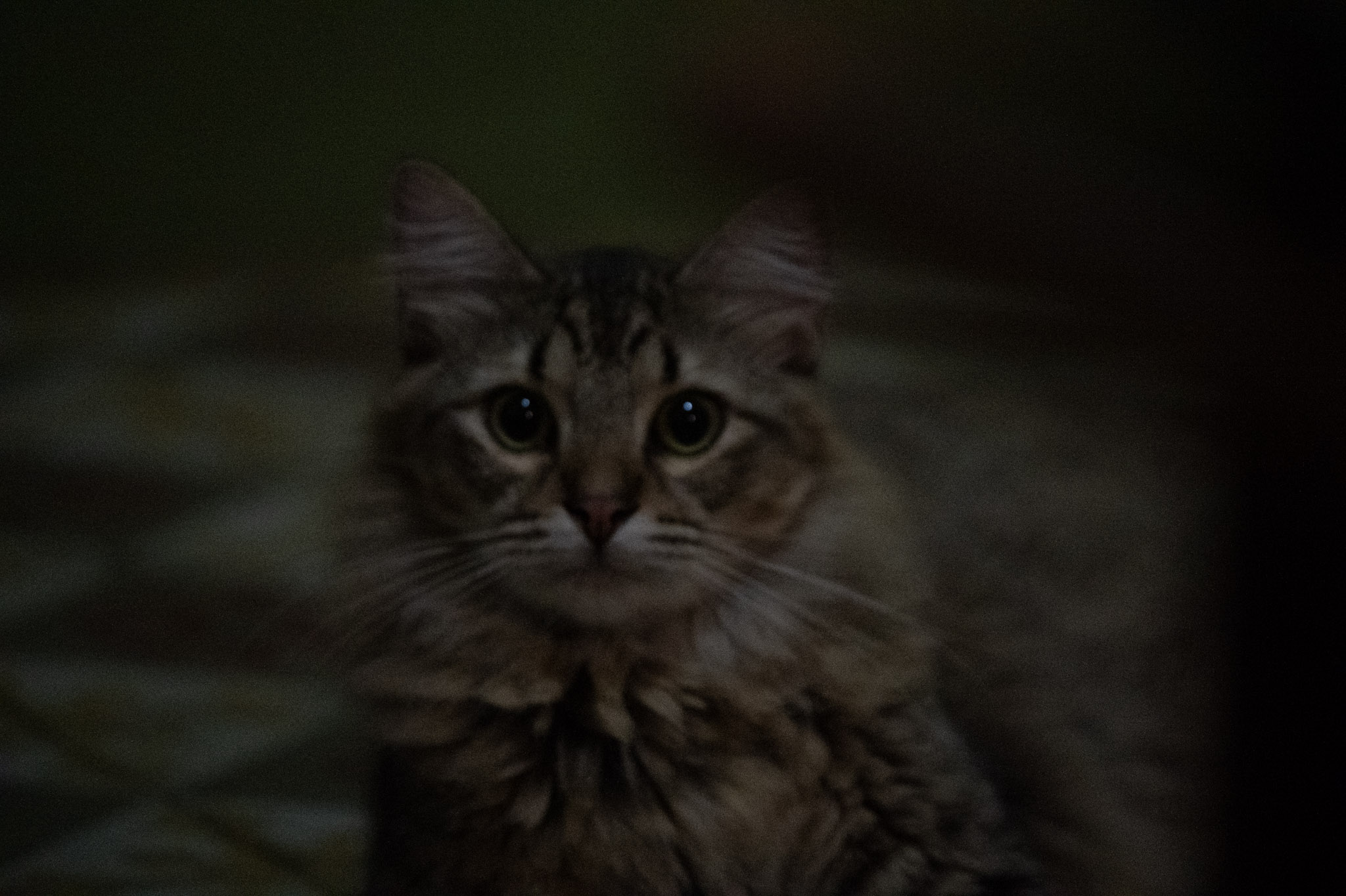 2020-12-28_Santa_Rita - foto 27