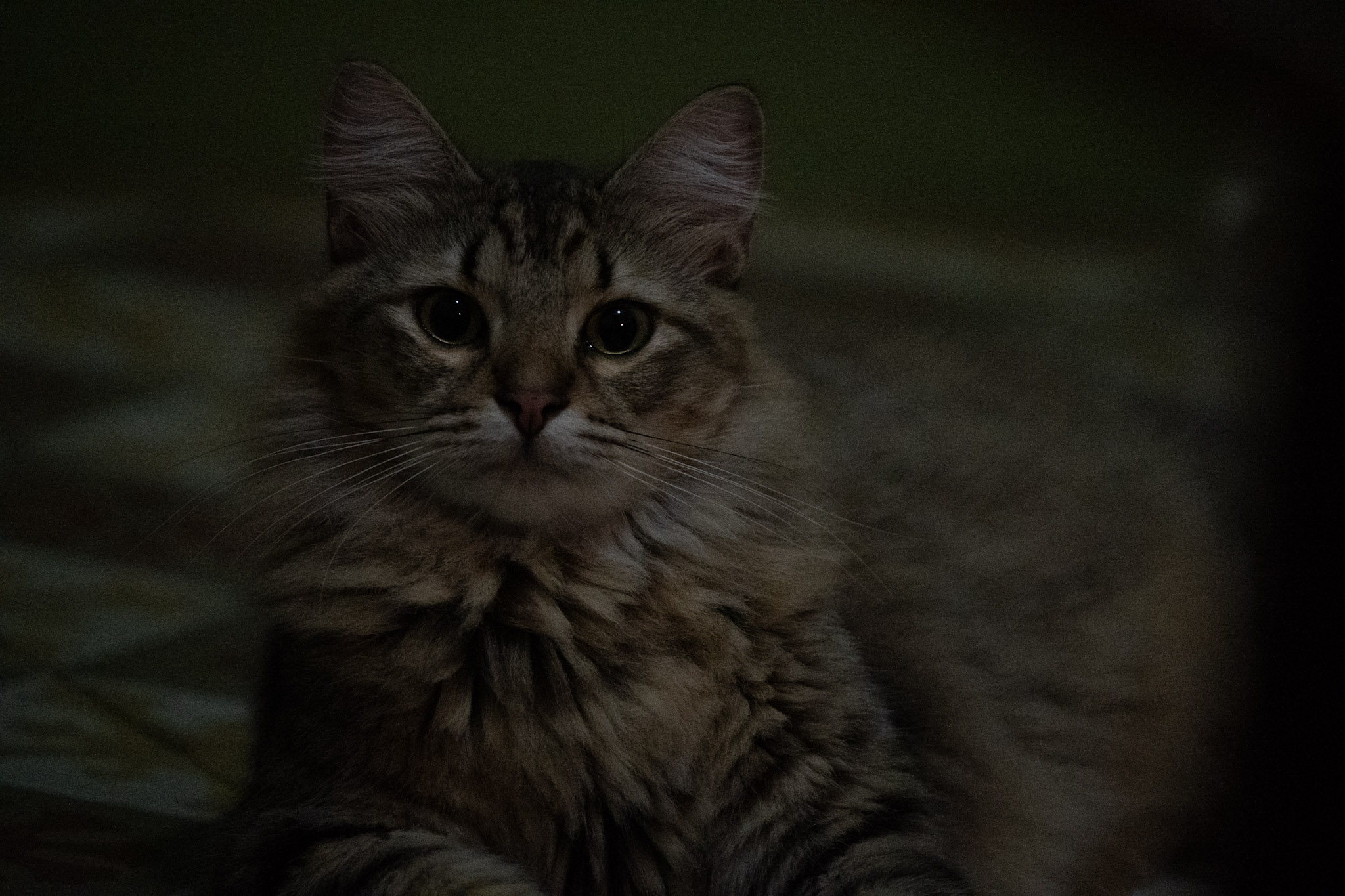 2020-12-28_Santa_Rita - foto 32