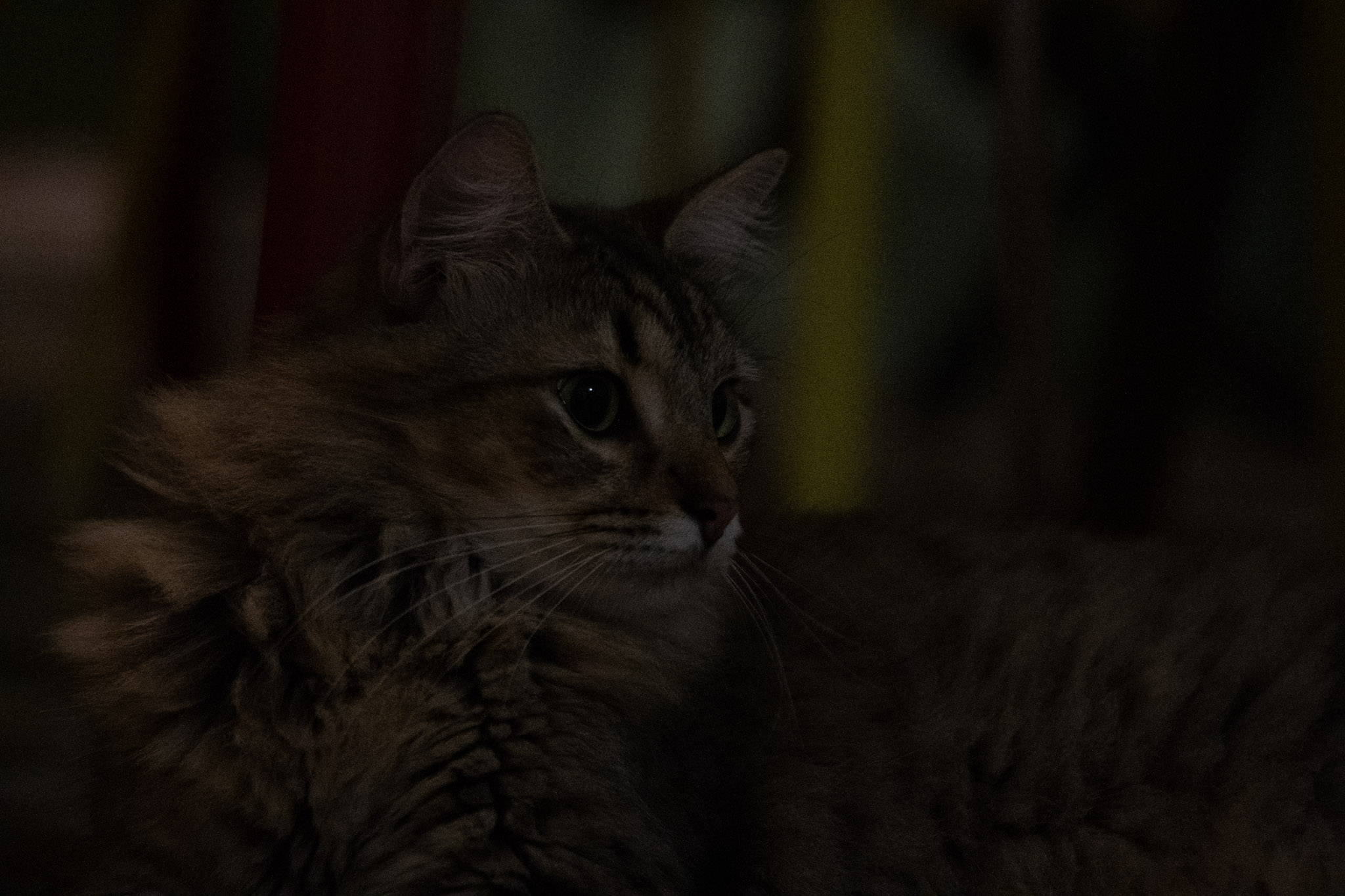 2020-12-28_Santa_Rita - foto 44