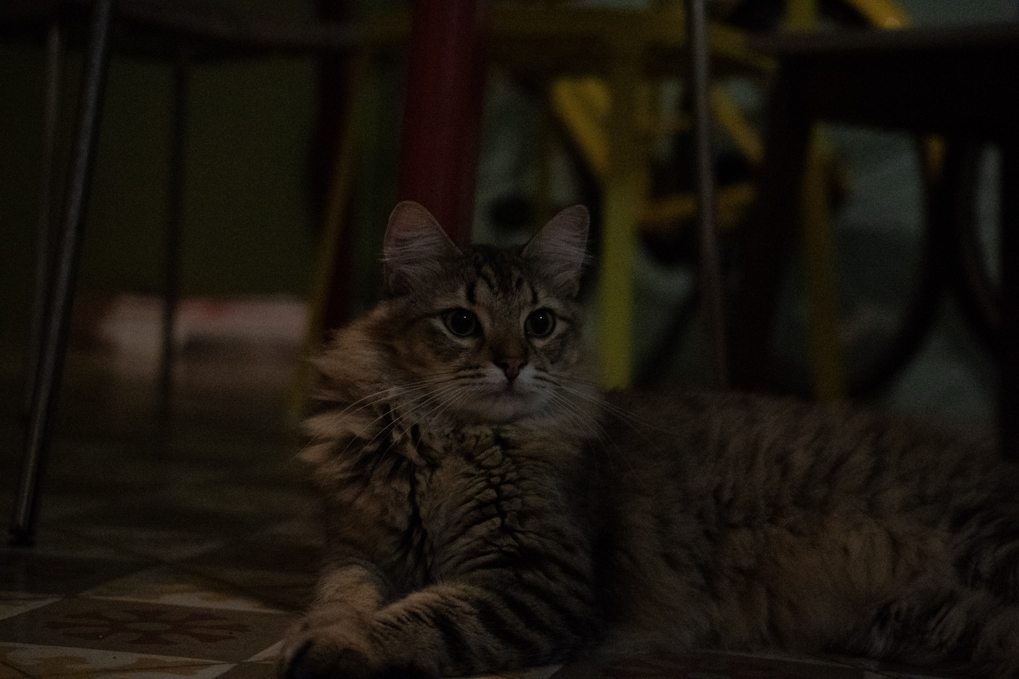 2020-12-28_Santa_Rita - foto 46